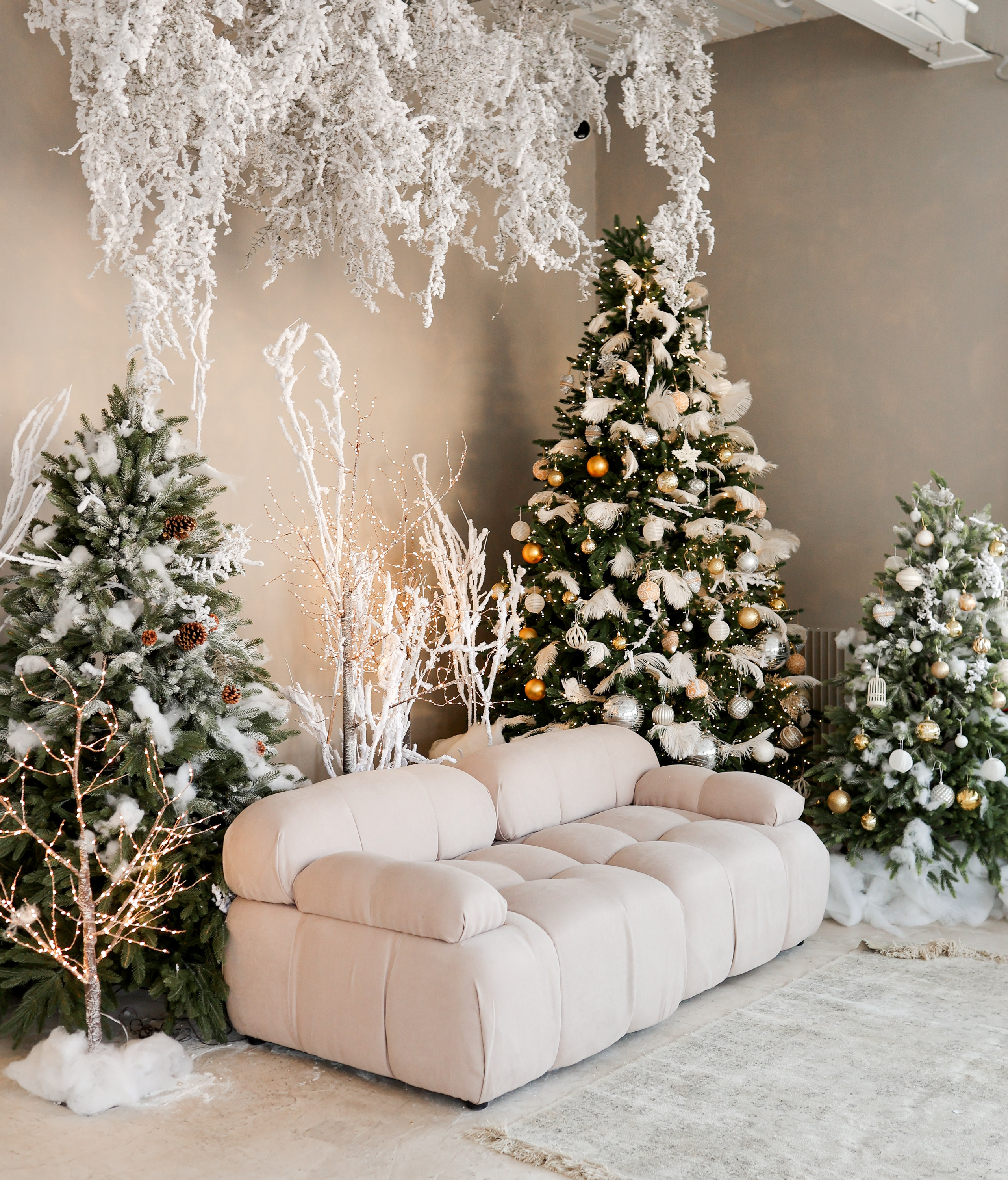 Циклорама. Фотостудия Фотодом. Якутск