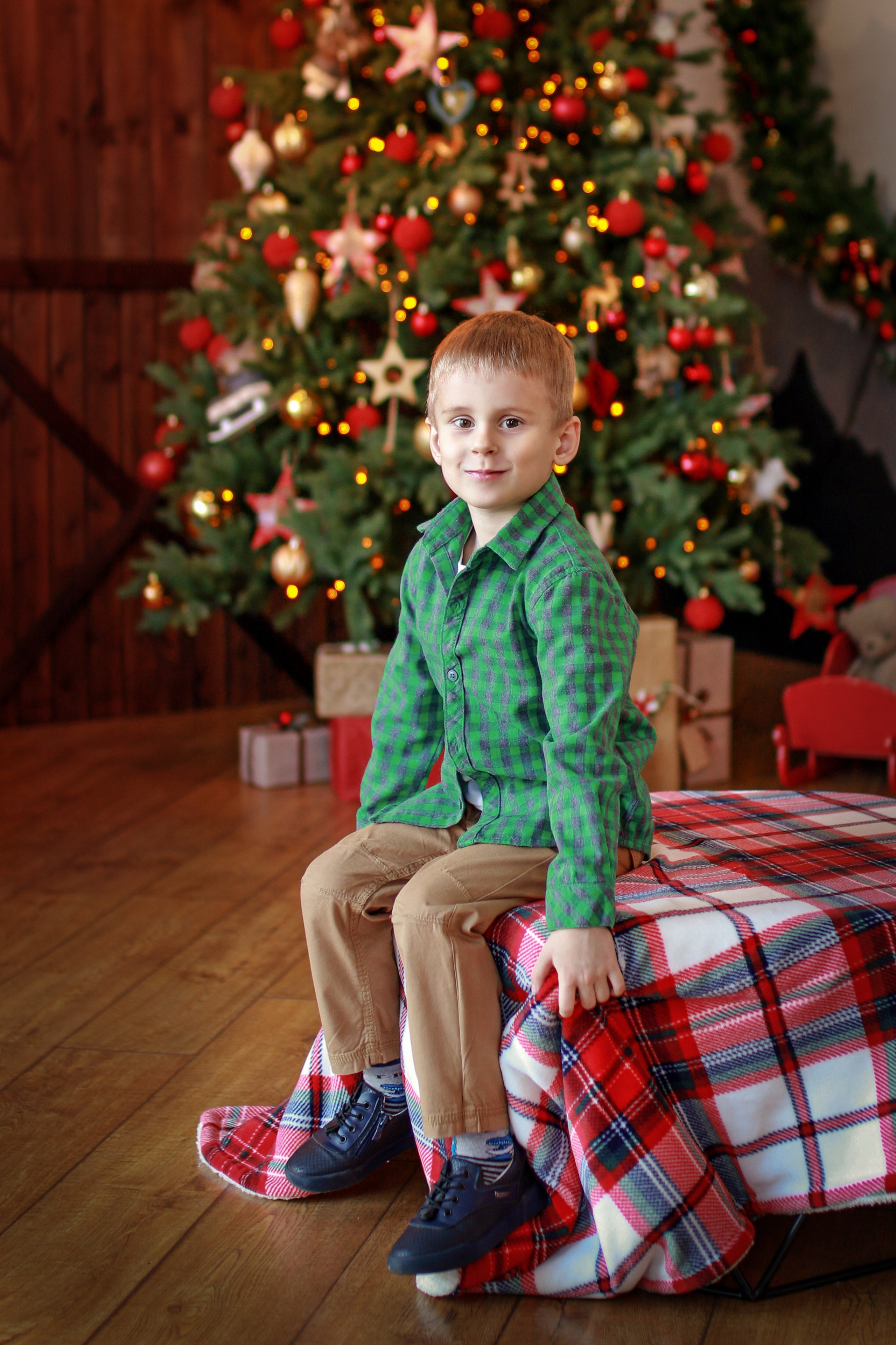 Новогодние фотосессии. Елена Данилова фотограф беременности в Кемерово