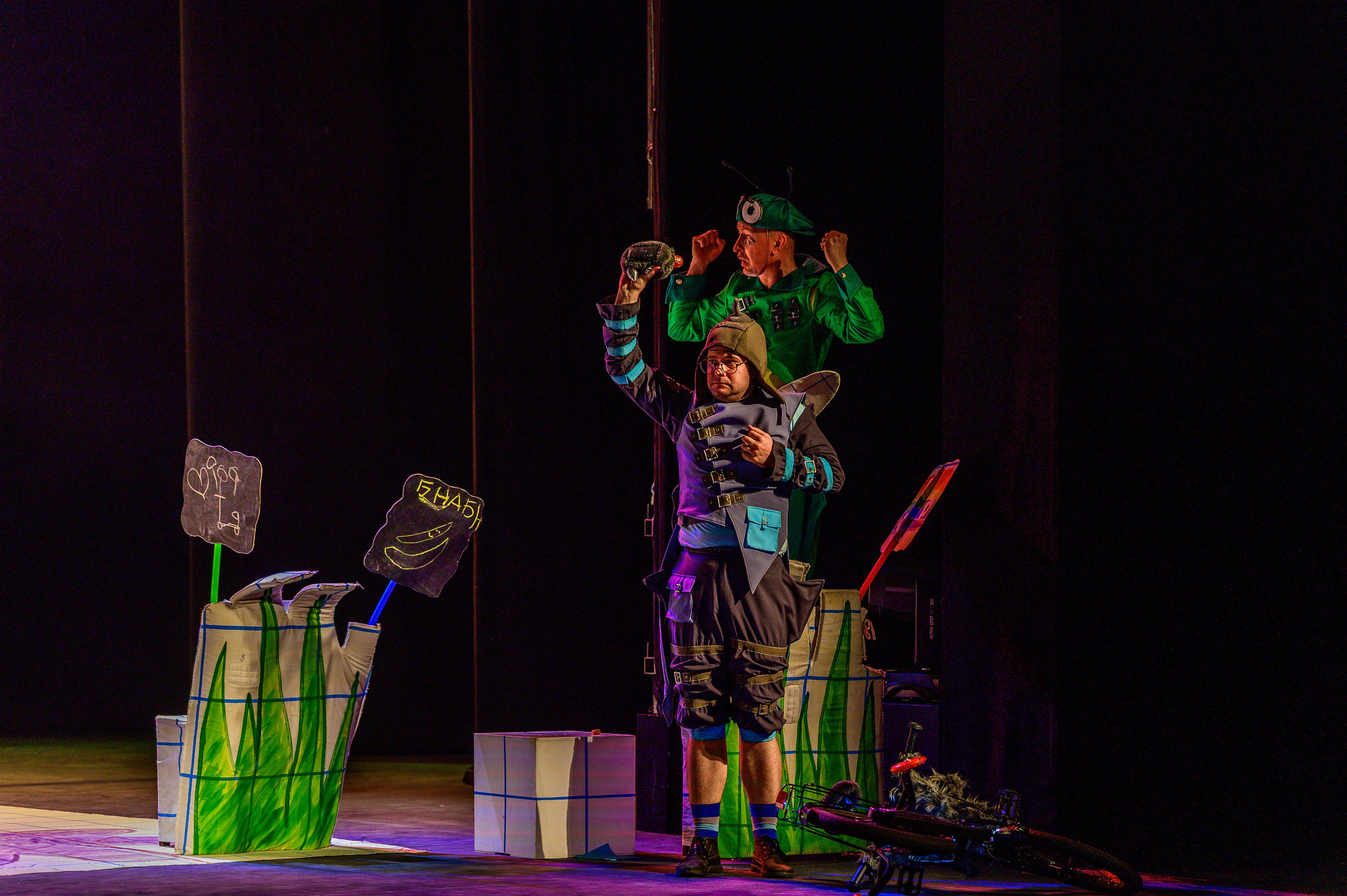 Муха Цокотуха. Фотоуслуги, услуги фотографа, фотографирование важных событий