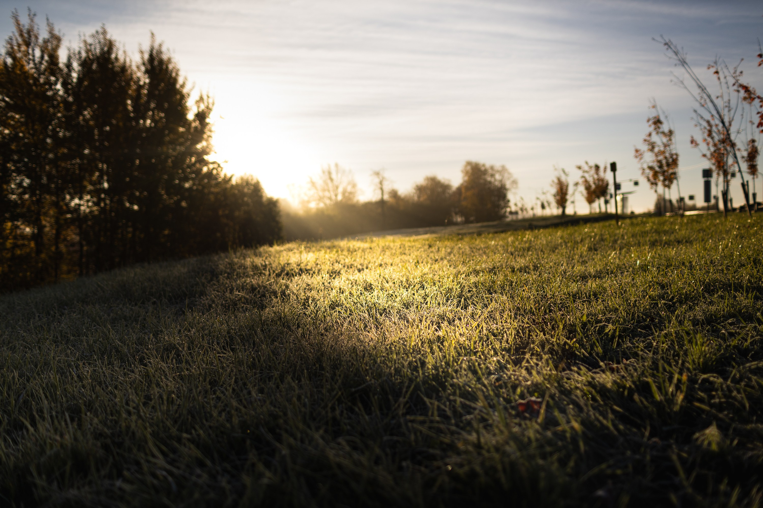 Первый иней. Alex Andreev photographer
