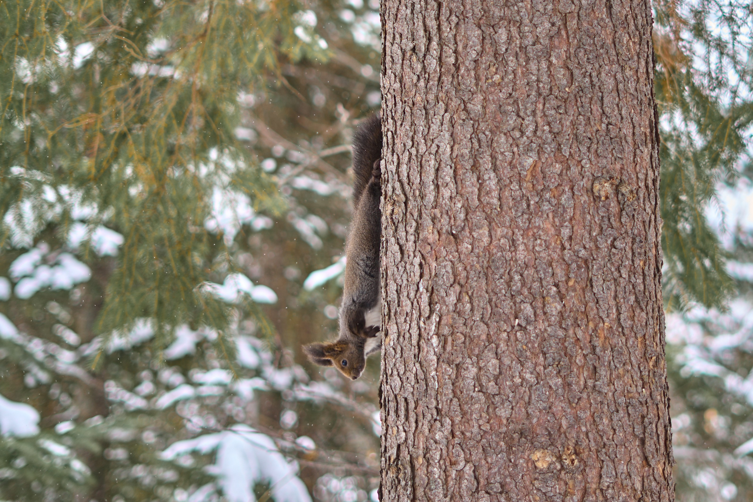 Природа. Фотограф Екатерина Зорина