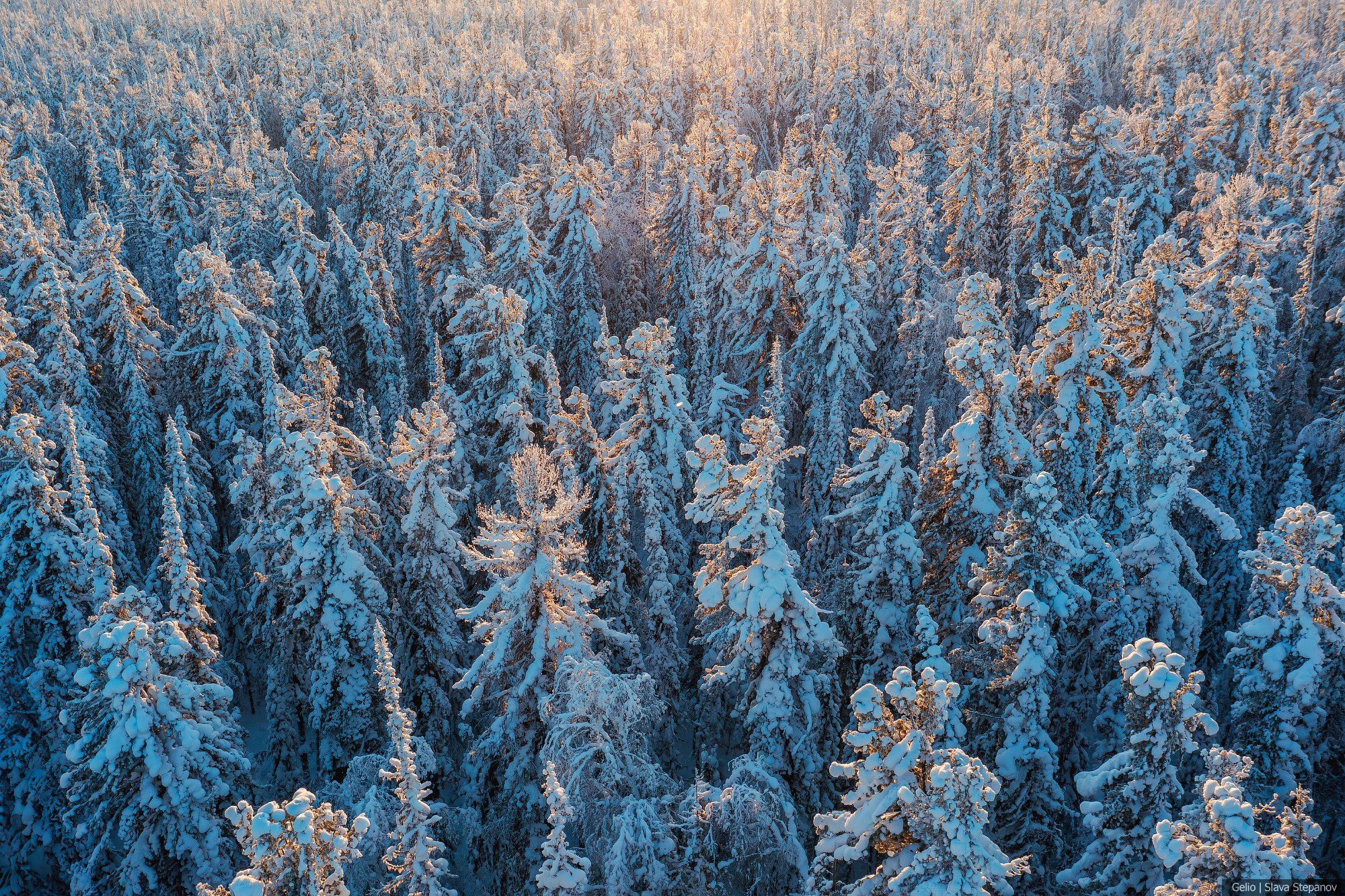 Природа. Фотограф Слава Степанов, Gelio
