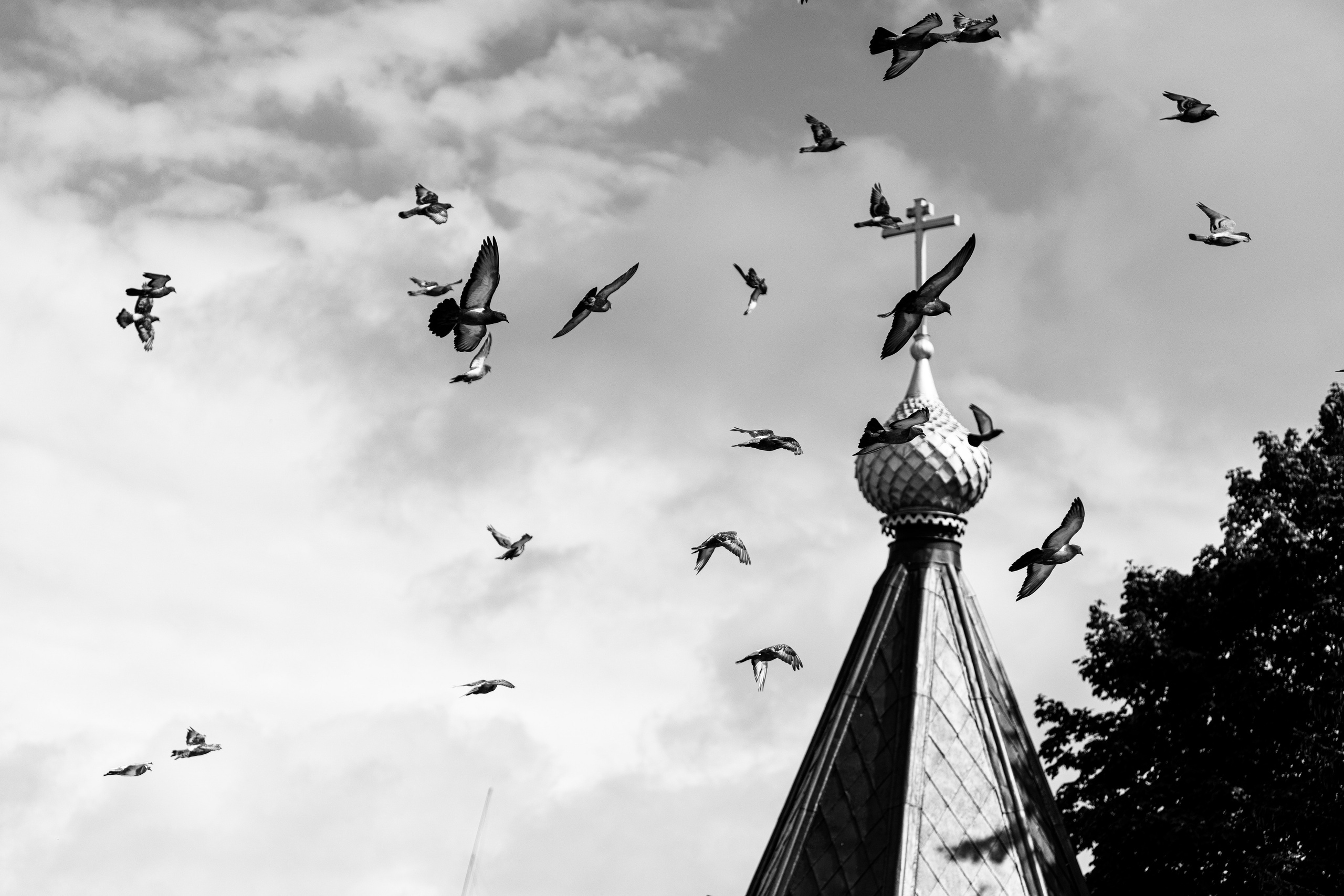 Про жизнь. Фотограф Сергей Ловкий