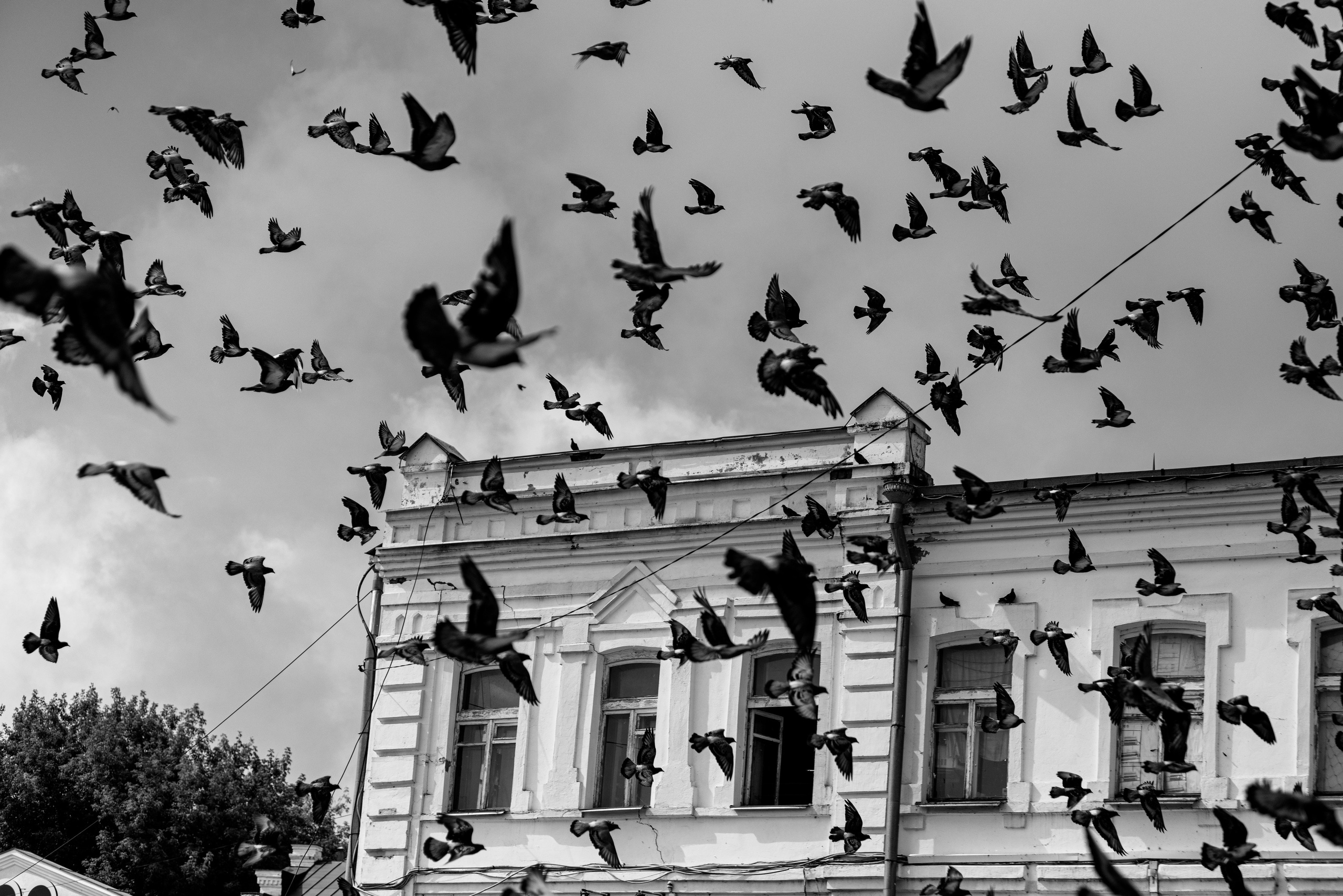 Про жизнь. Фотограф Сергей Ловкий