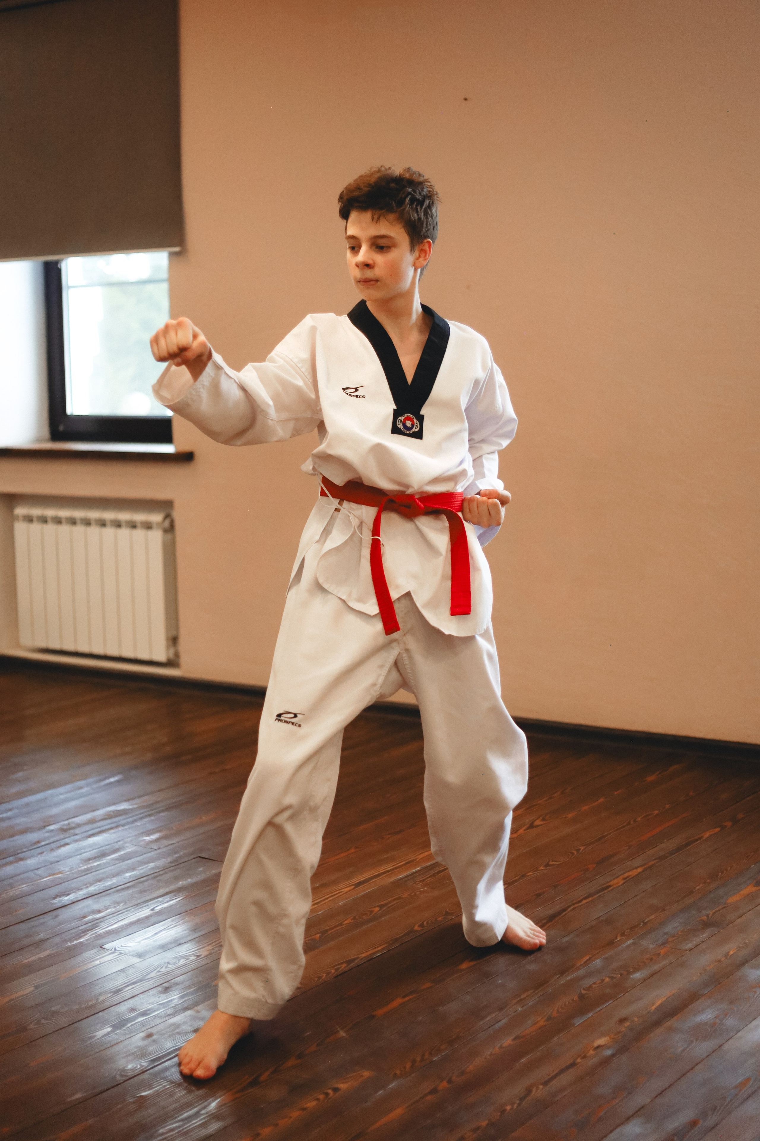 Тхэквондо Аттестация. Фотограф в Москве Бастракова Юлия