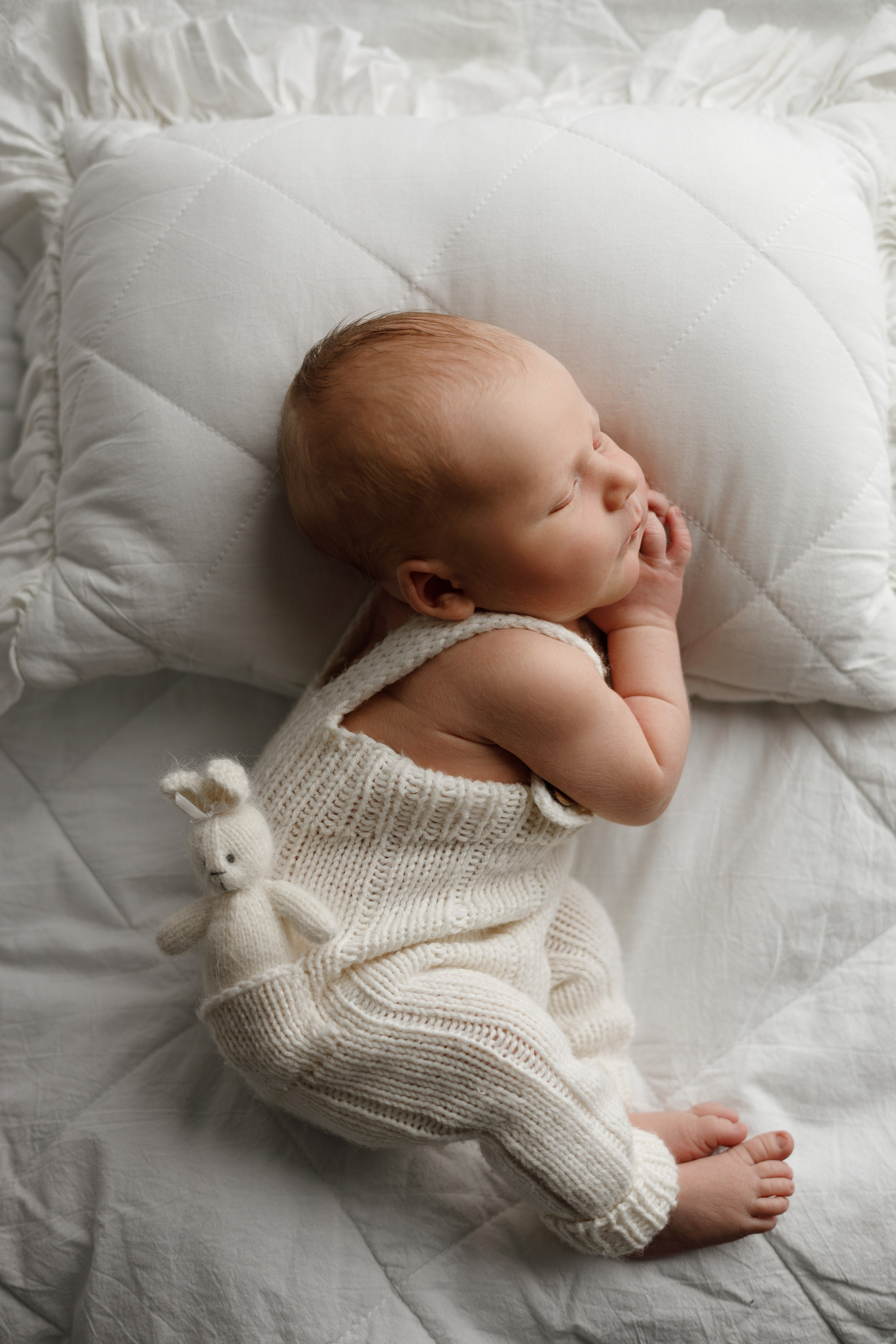 Лев пакет Малыш и семья с фотокнигой. Фотограф новорожденных ньюборн newborn в Краснодаре Алена Гребенькова