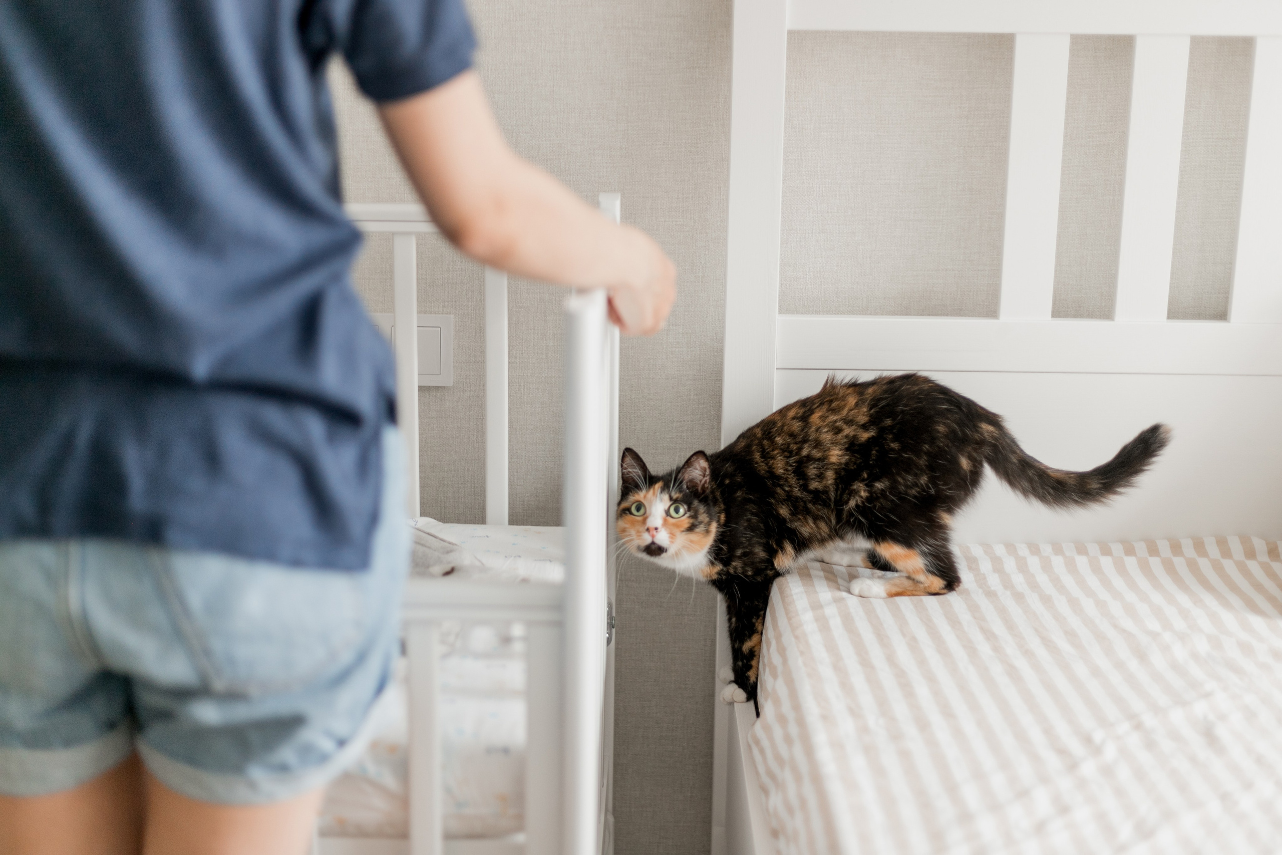 С малышом. Фотограф Софья Володкина