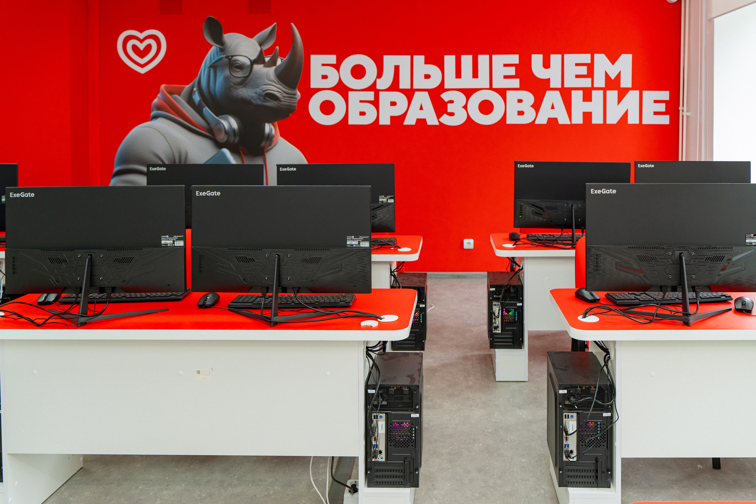 Синергия. Фотограф Мария Зайчик