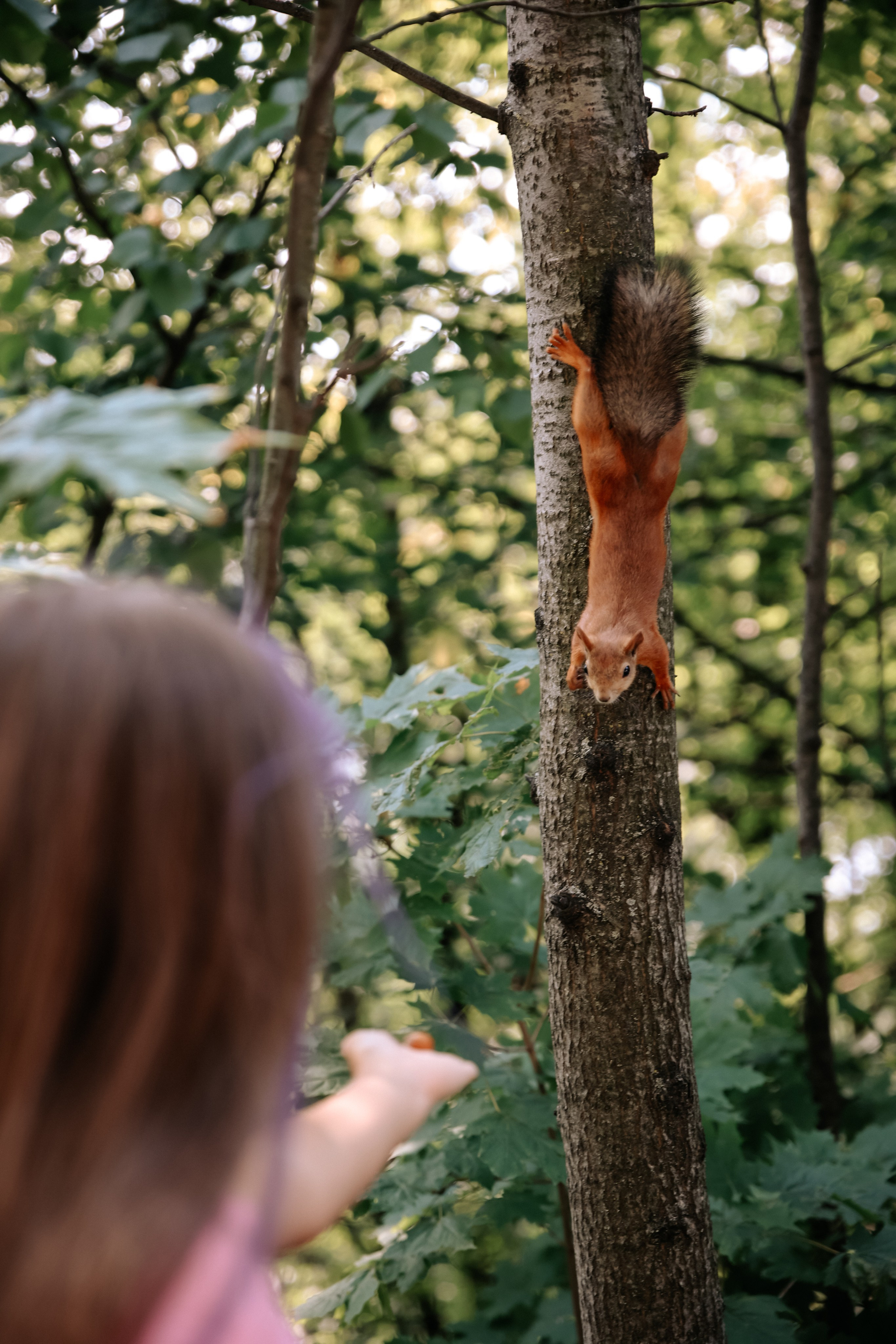 Катя. Фотограф Диана Воробьева Нижний Новгород