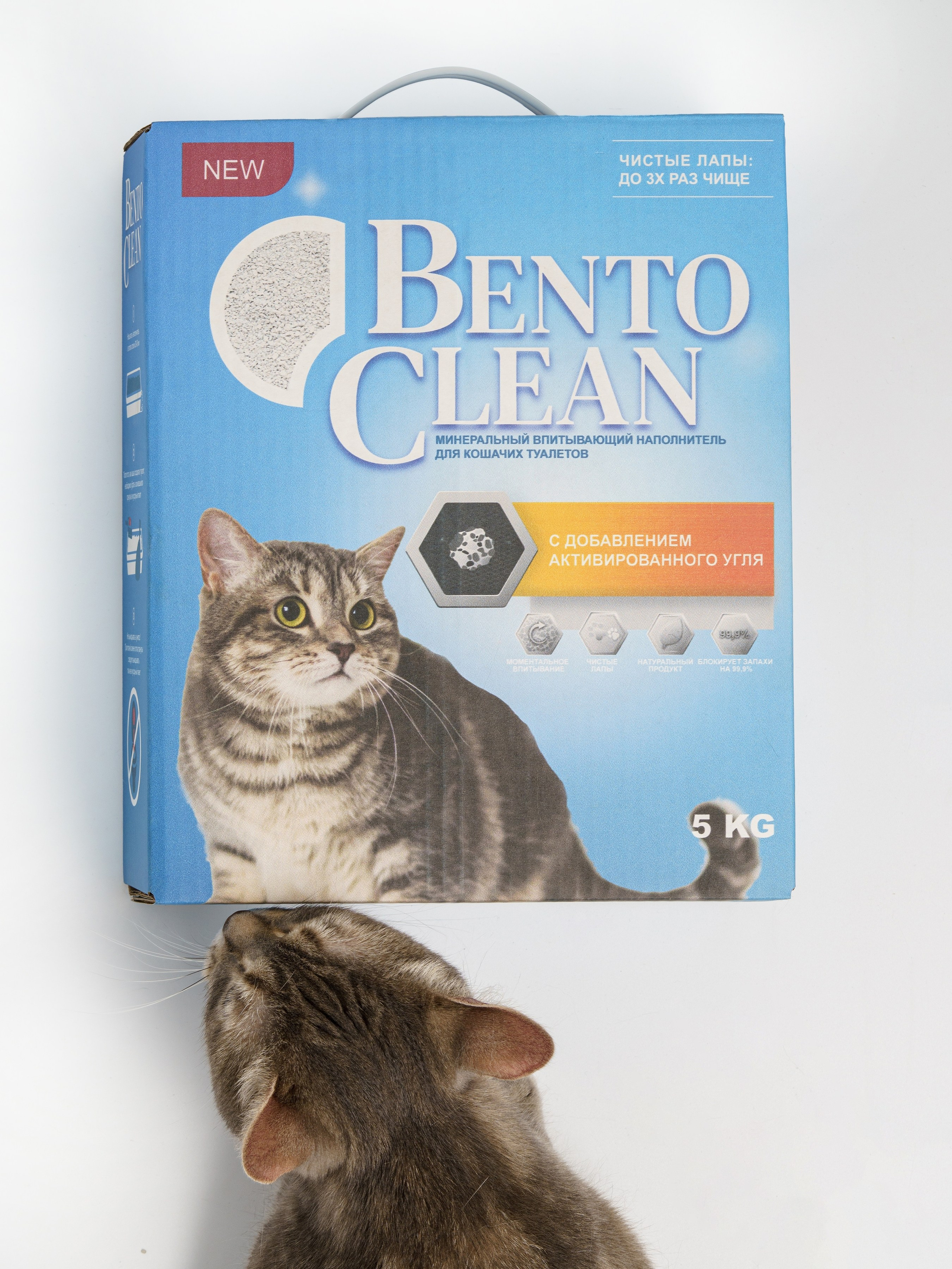 Съемки с животными. КЕД Студия-контент агентство полного цикла СПБ. Создаём фото, видео и контент, который помогает брендам и селлерам продавать больше