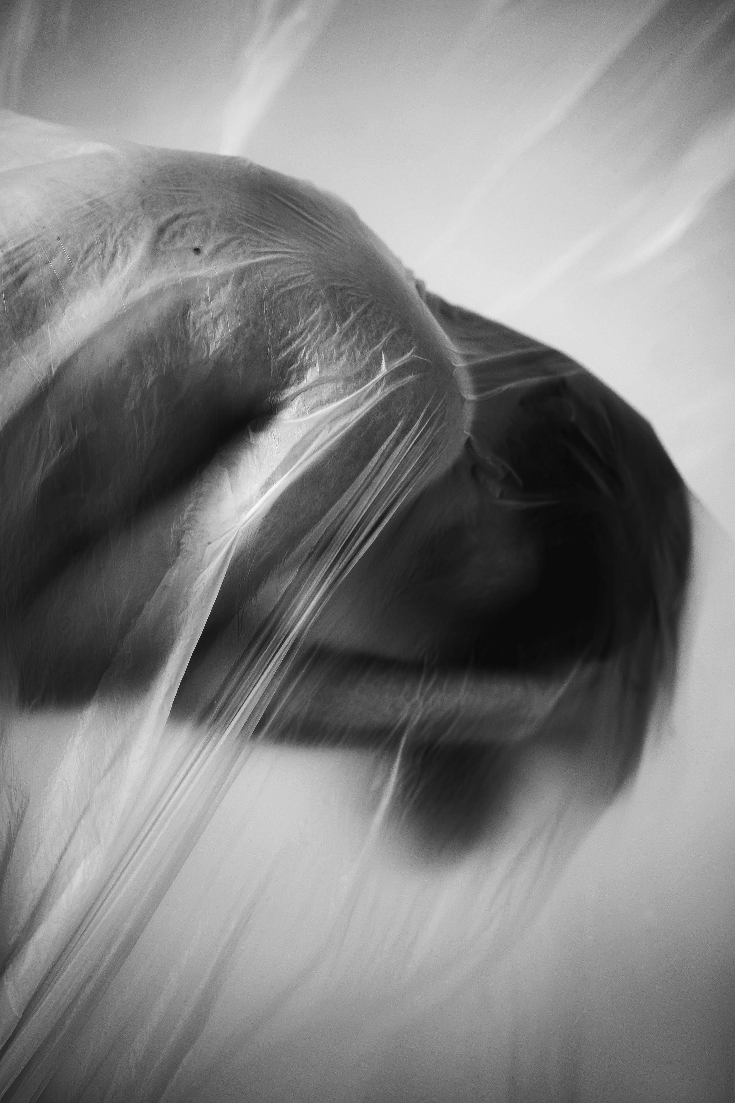 Фотовыставка КУЛЬТ ЖЕНЩИНЫ. Семейный фотограф в Волгодонске Анастасия Шипилова