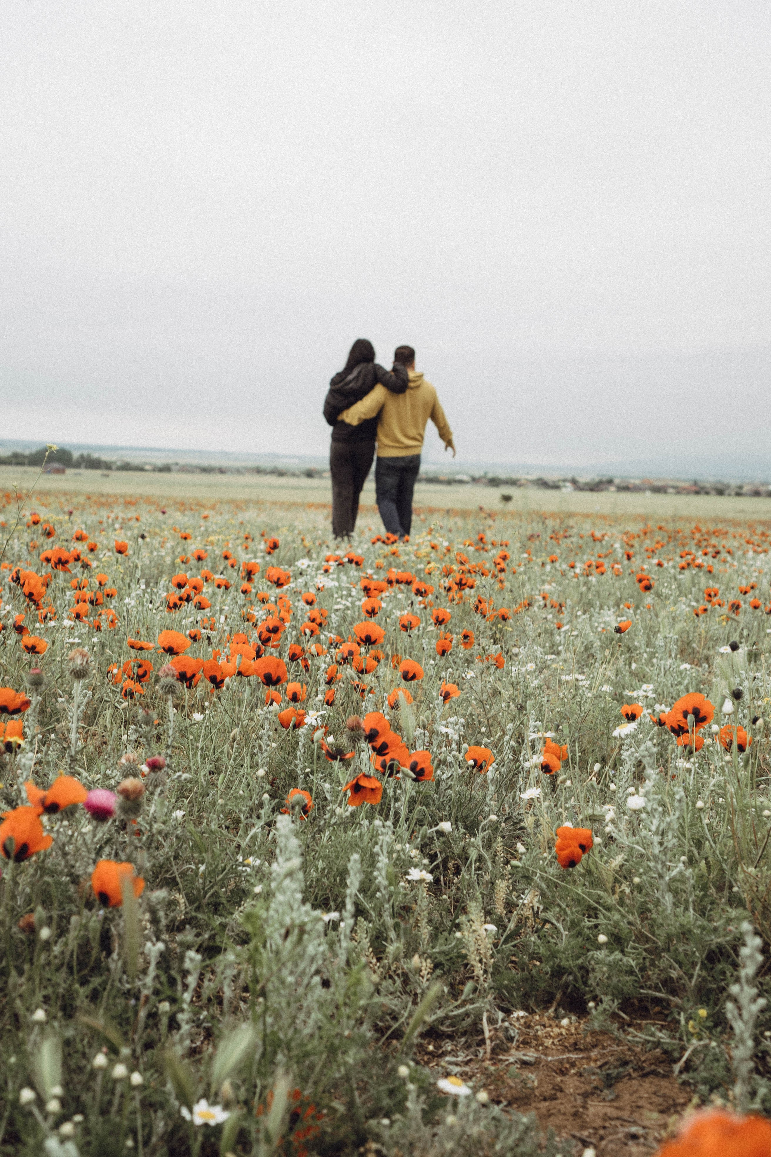 Любовь в маковом поле. Профессиональный фотограф, Санкт-Петербург — Виктория Богомолова