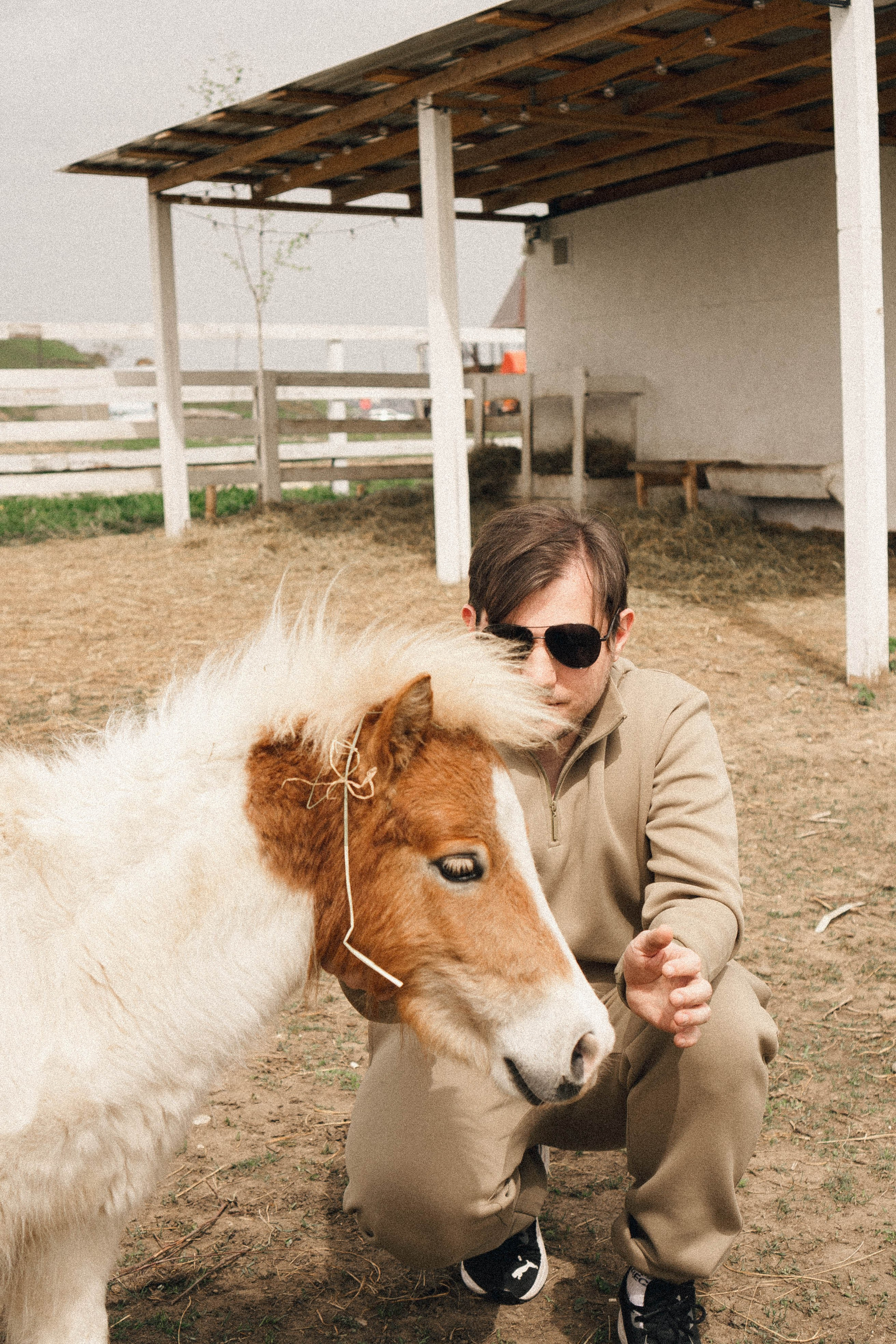 Ферма Альпак. Профессиональный фотограф, Санкт-Петербург — Виктория Богомолова