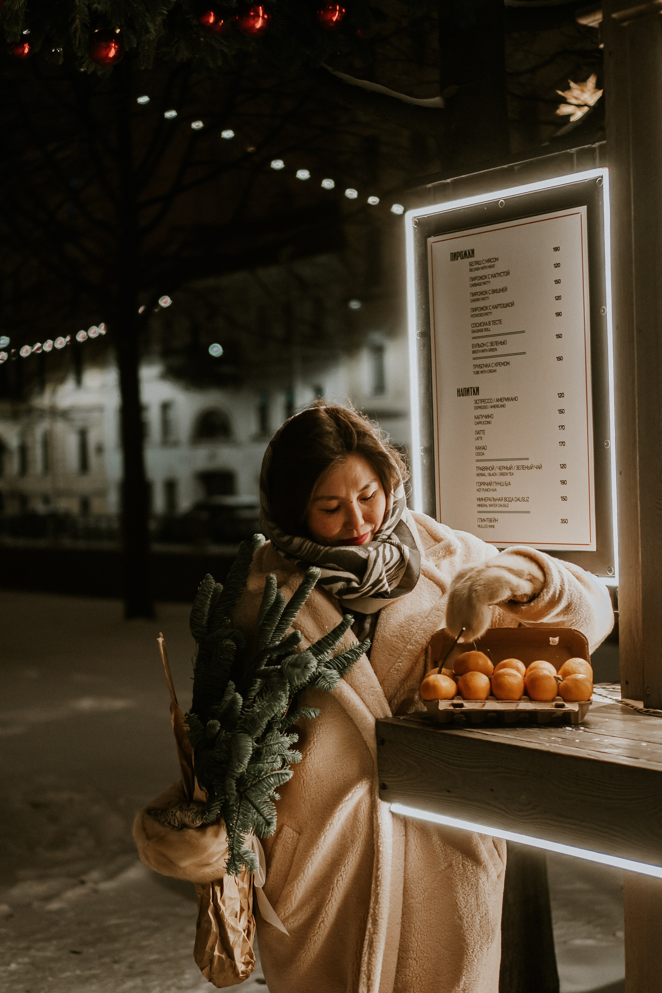 Зимняя сказка в Новой Голандии. Профессиональный фотограф, Санкт-Петербург — Виктория Богомолова
