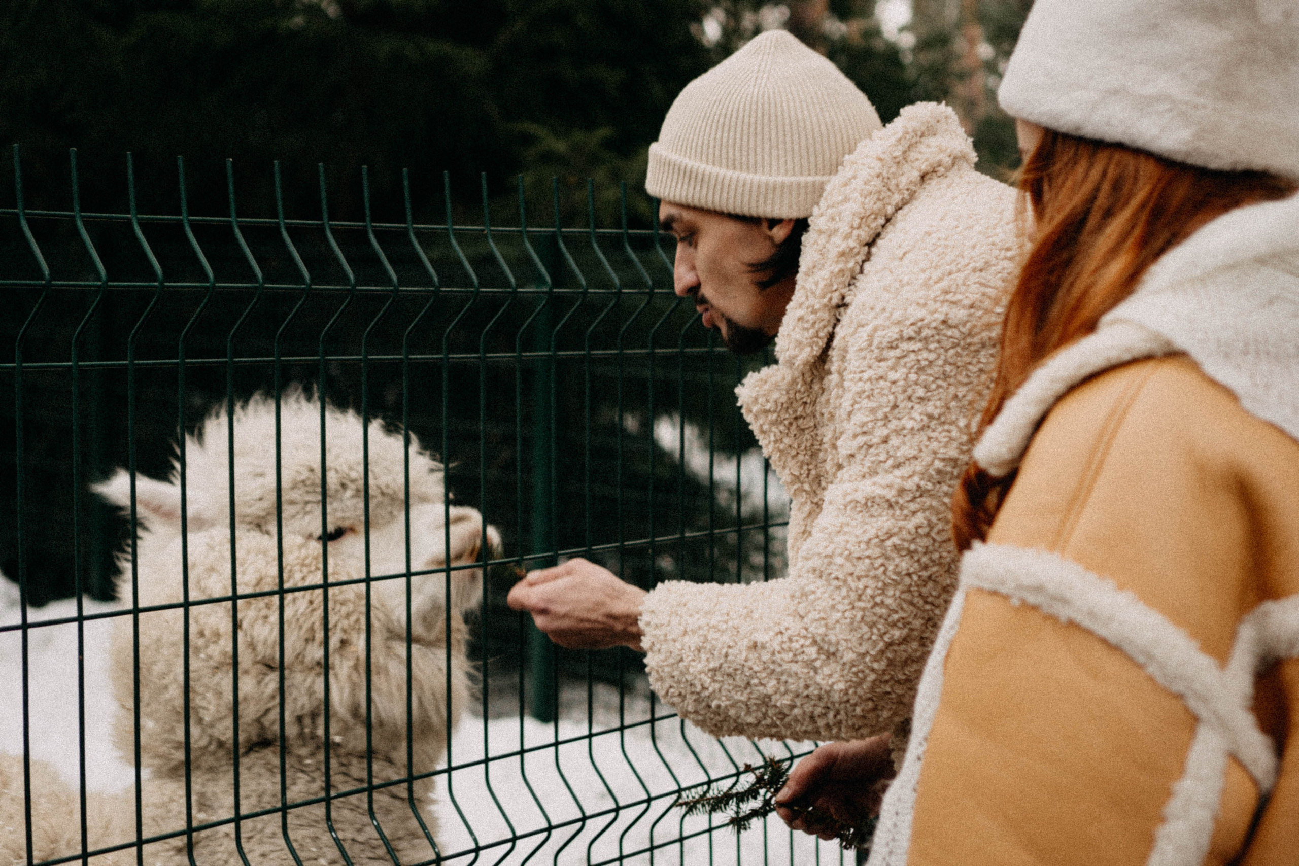 Каток. Профессиональный фотограф, Санкт-Петербург — Виктория Богомолова