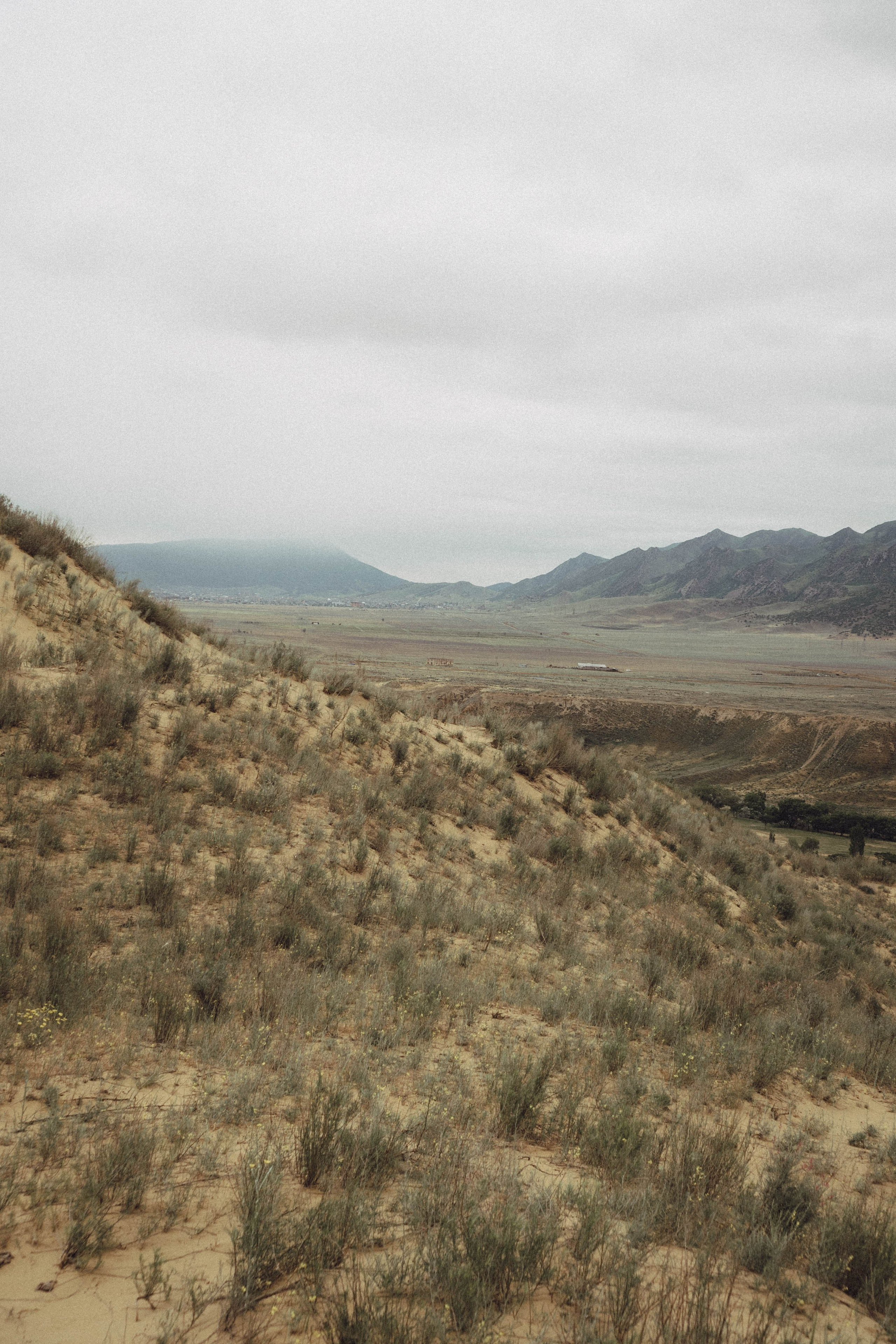Кавказ. Профессиональный фотограф, Санкт-Петербург — Виктория Богомолова