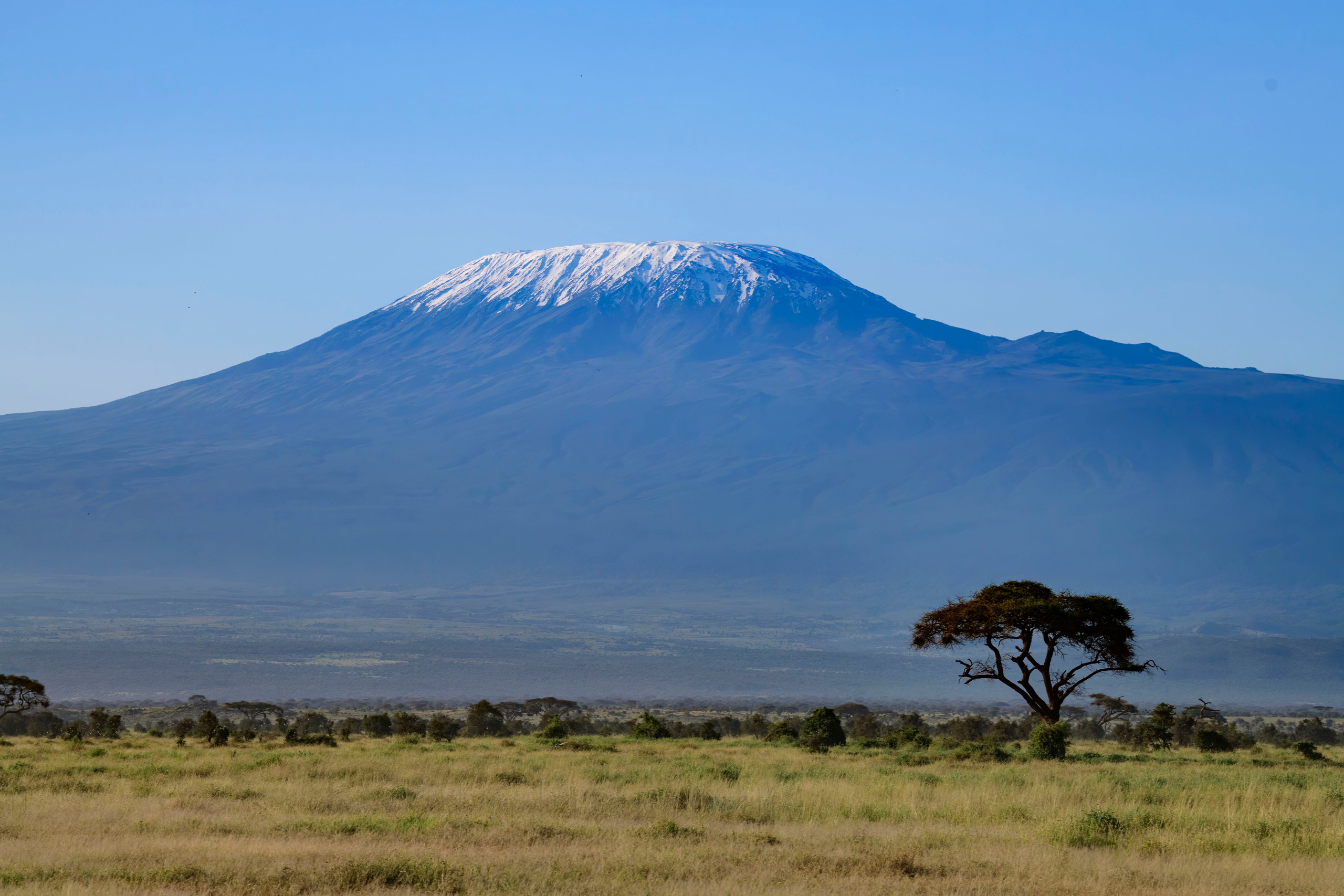 Кения. Wildlife photography by Sergey Puponin