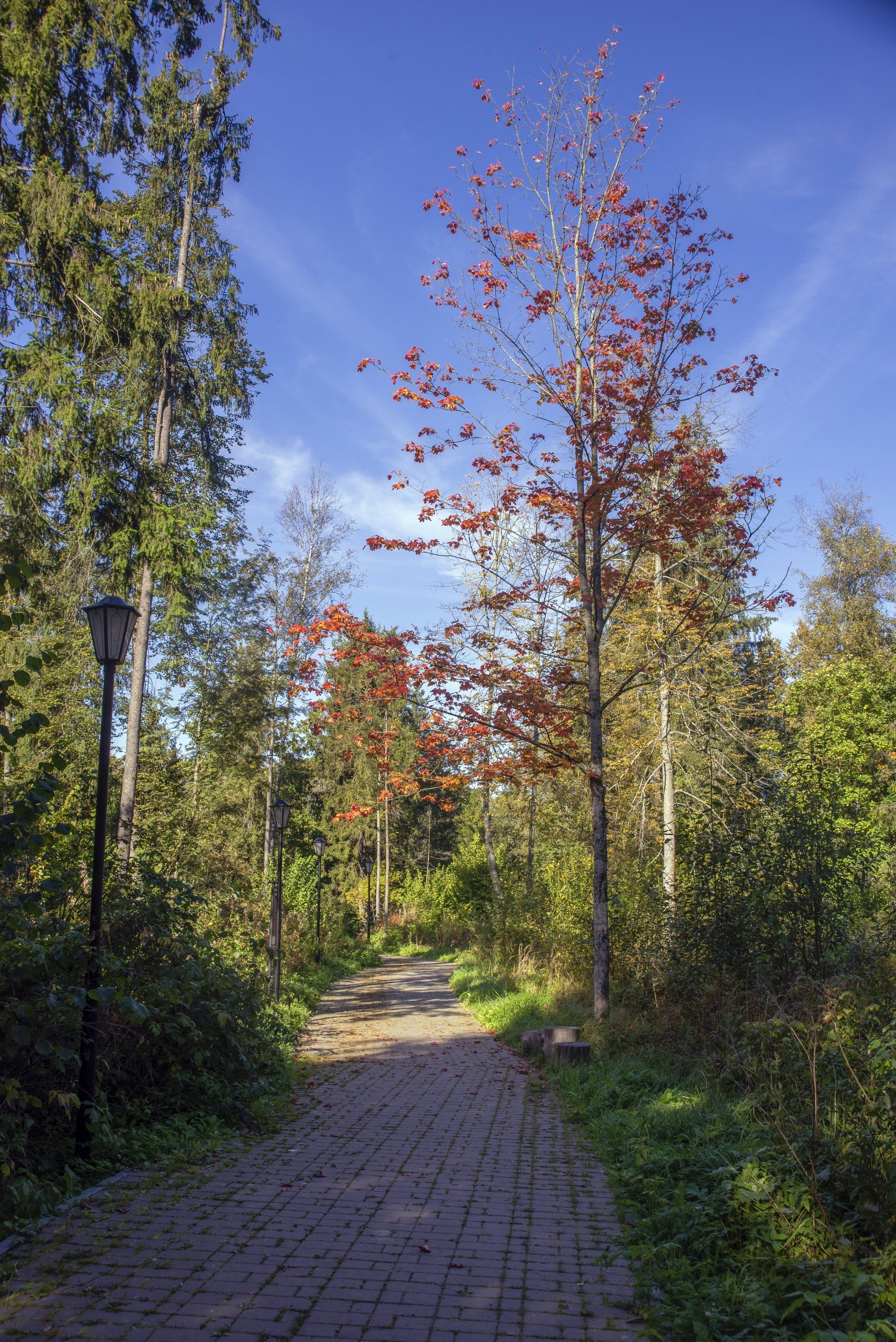 Абрамцево. Сентябрь 2023. Игорь Жучков. Россия увиденная глазами путешествующего фотографа