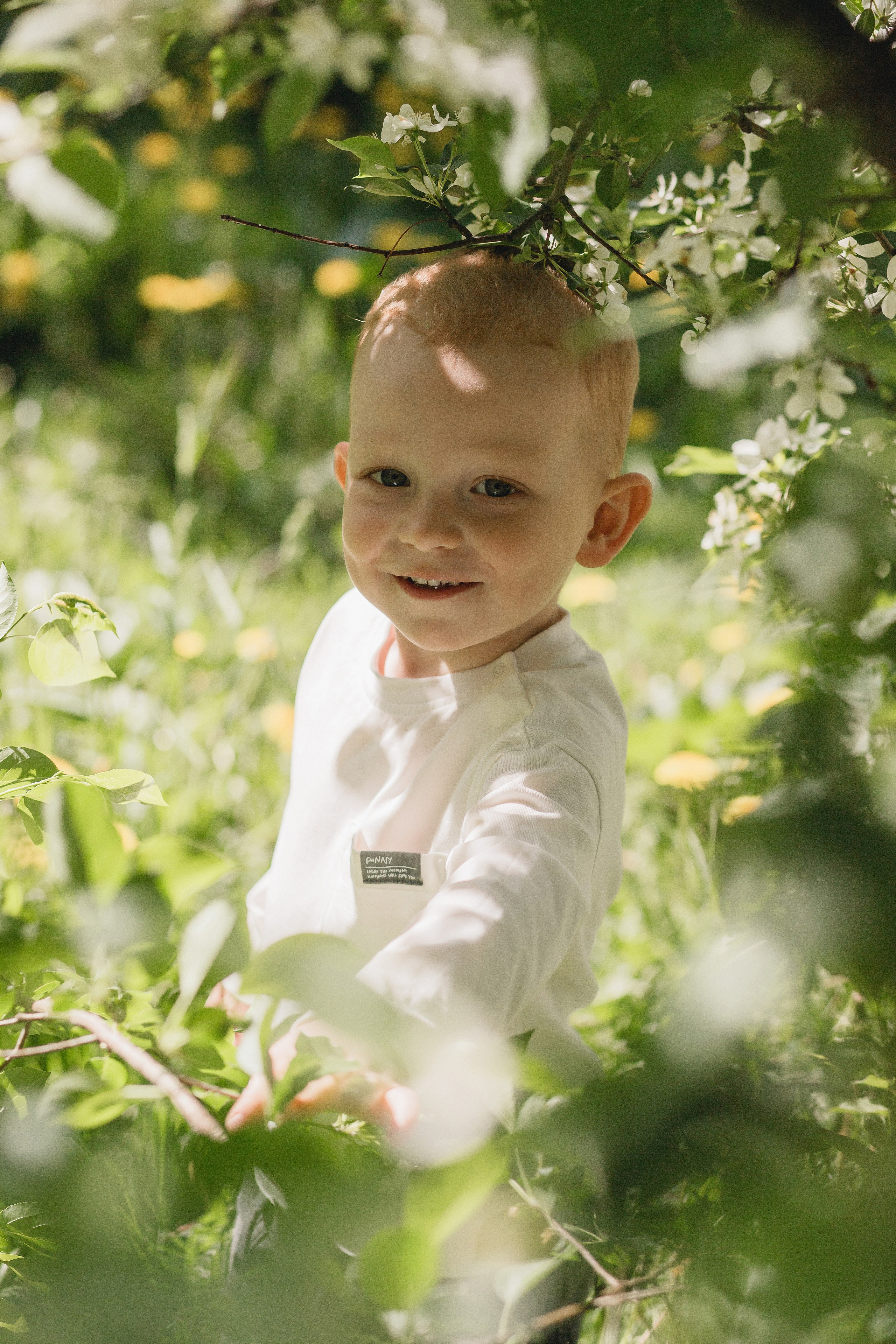 Одним летним днем. Главная