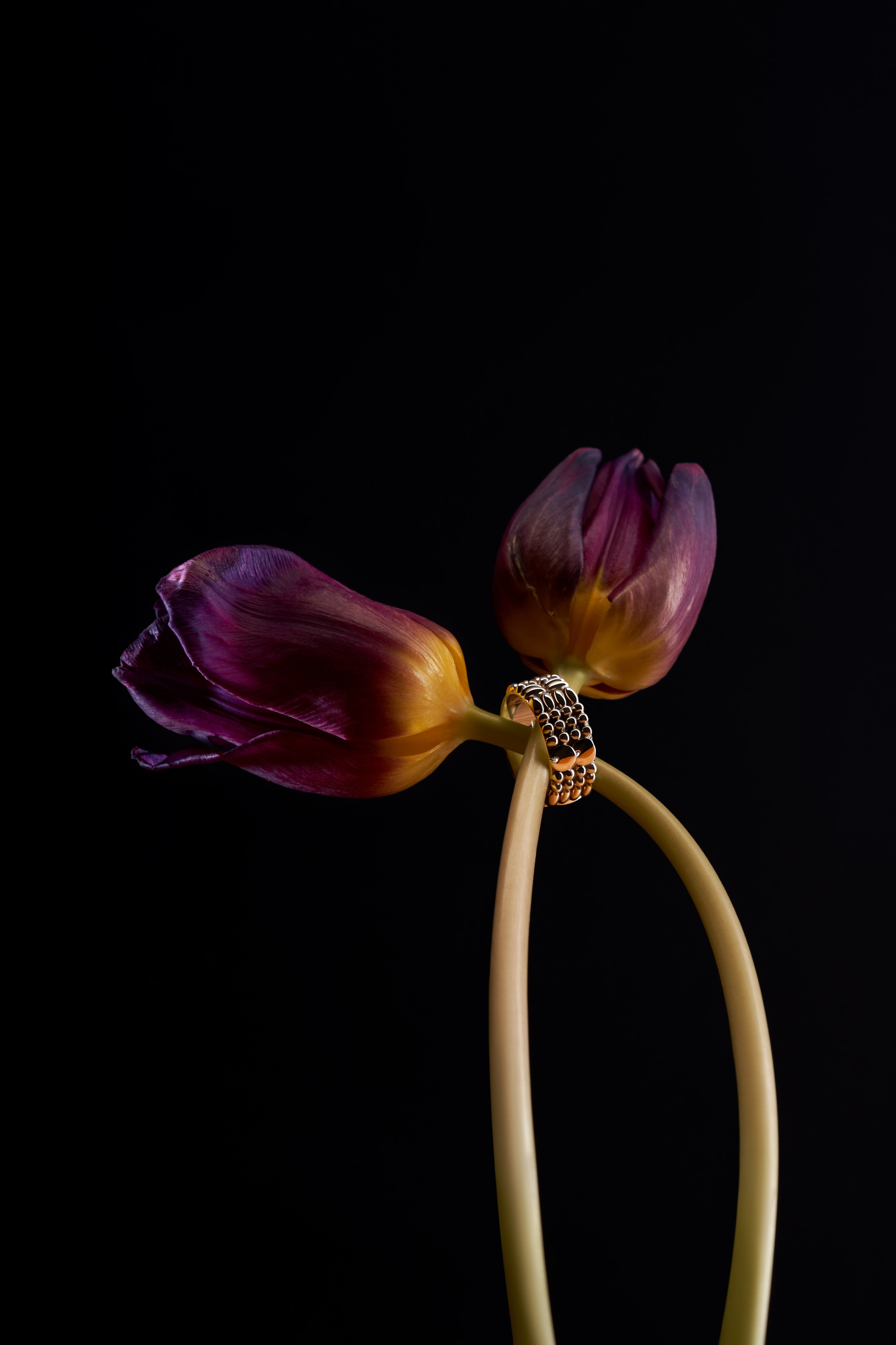 Jewelry. Retoucher Natali Krasulina / Retouch photo