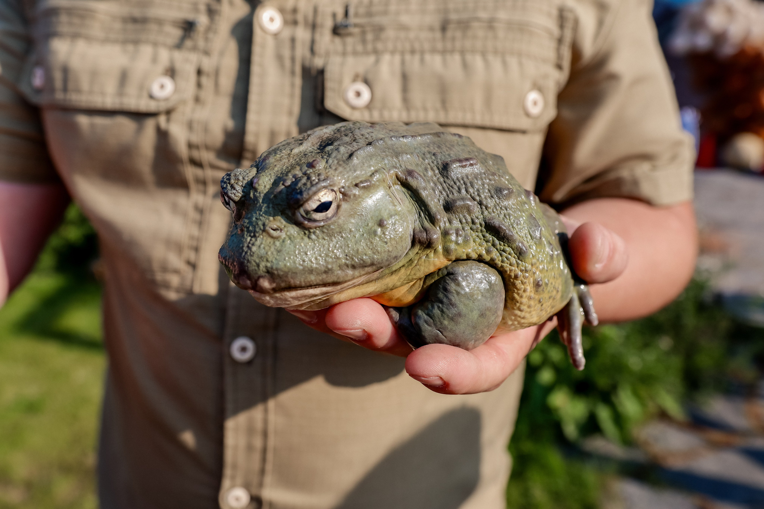 Кирилл 2 года. ФОТОГРАФ ЕКАТЕРИНБУРГ