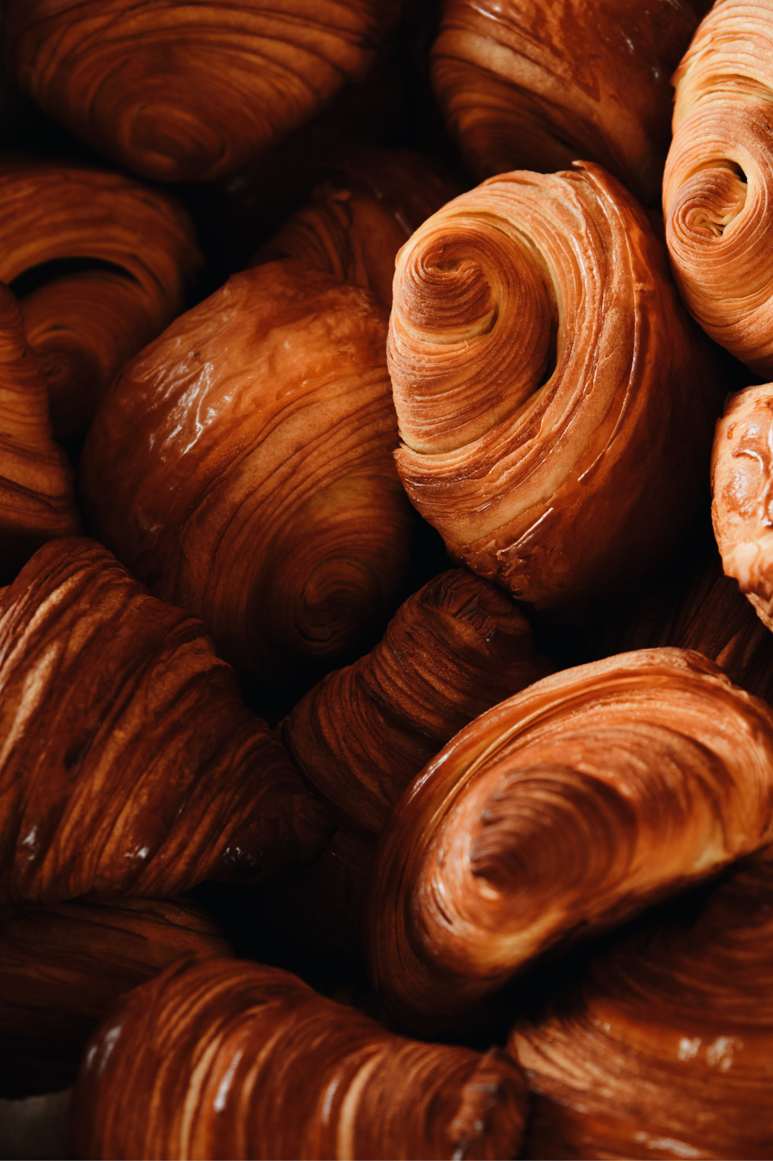 Born 2024. Фотограф Москва | Коммерческие и индивидуальные съемки