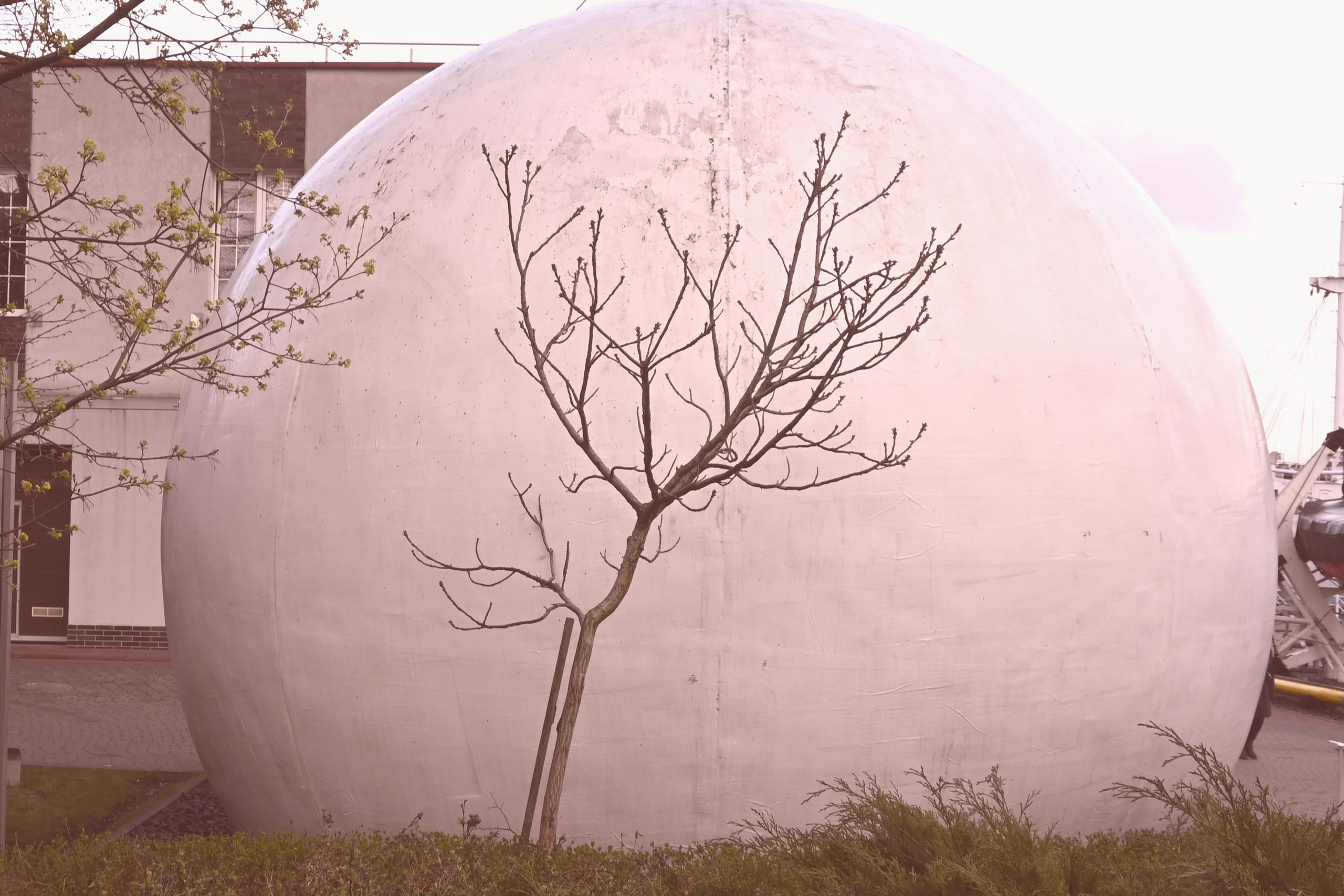 Репортажная фотосессия на природе. Семейный, детский, репортажный фотограф в Обнинске Соколова Ольга