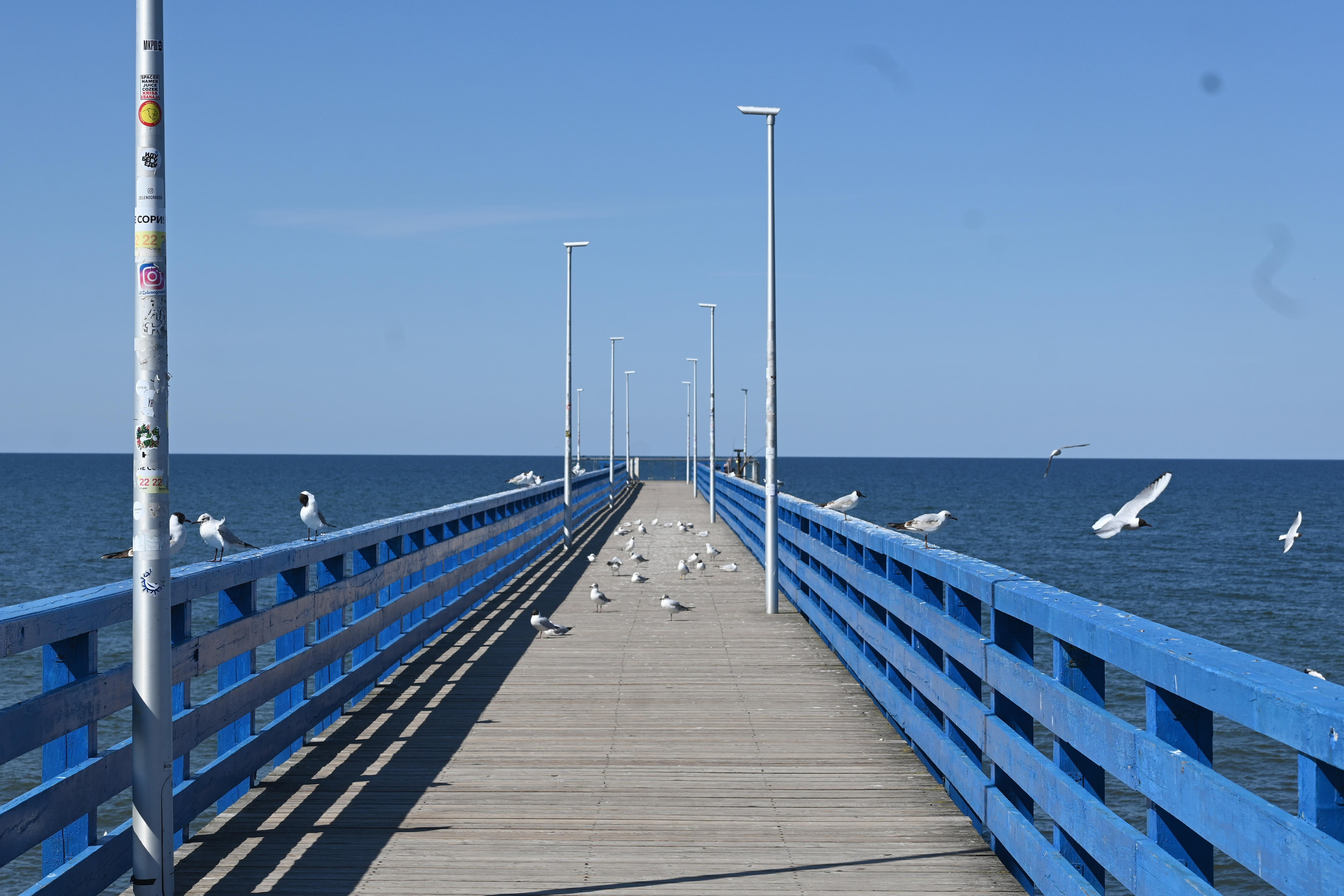Репортажная фотосессия на природе. Семейный, детский, репортажный фотограф в Обнинске Соколова Ольга
