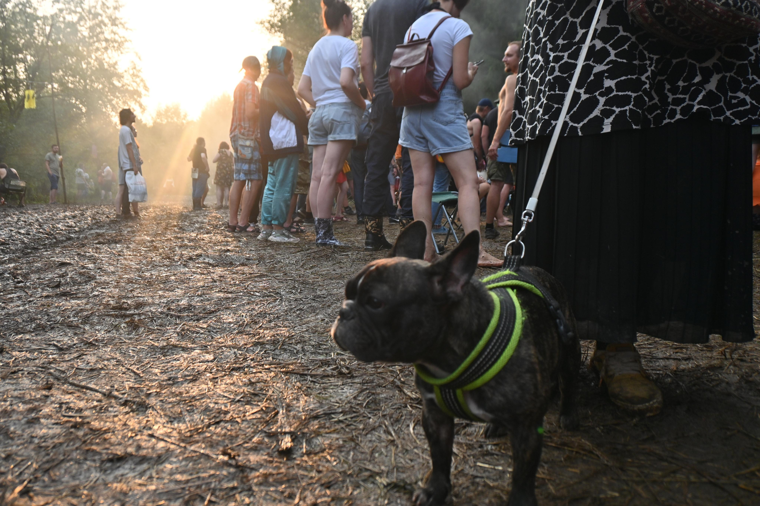 Репортажная фотосессия на природе. Семейный, детский, репортажный фотограф в Обнинске Соколова Ольга