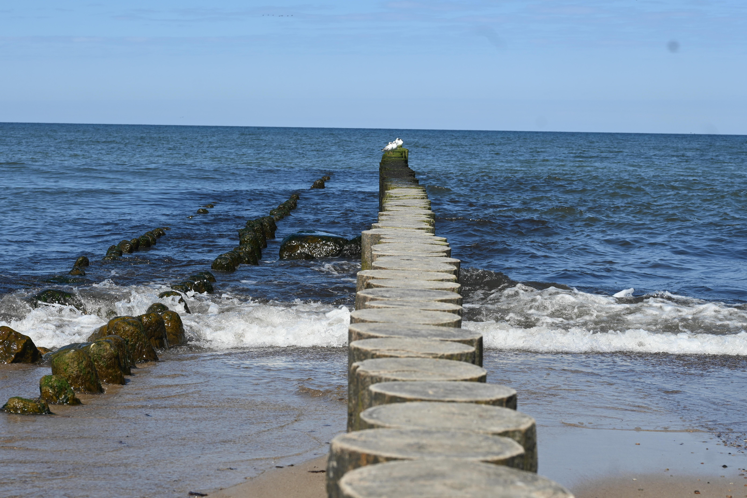 Репортажная фотосессия на природе. Семейный, детский, репортажный фотограф в Обнинске Соколова Ольга