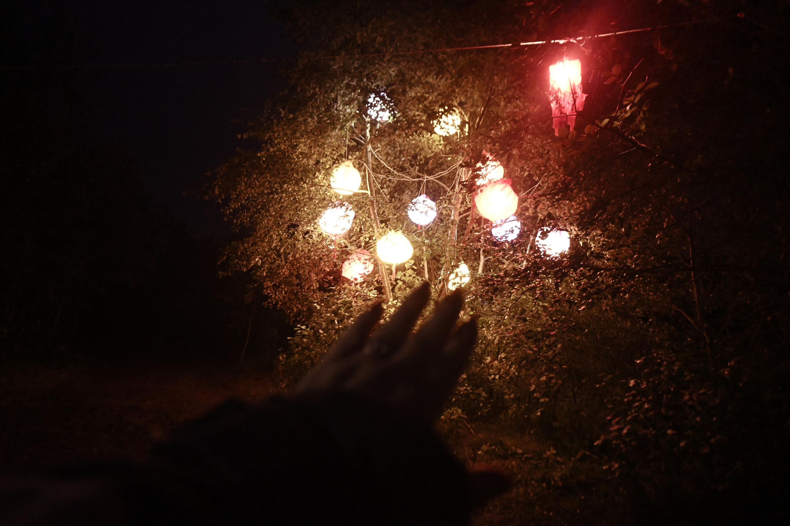 Репортажная фотосессия на природе. Семейный, детский, репортажный фотограф в Обнинске Соколова Ольга