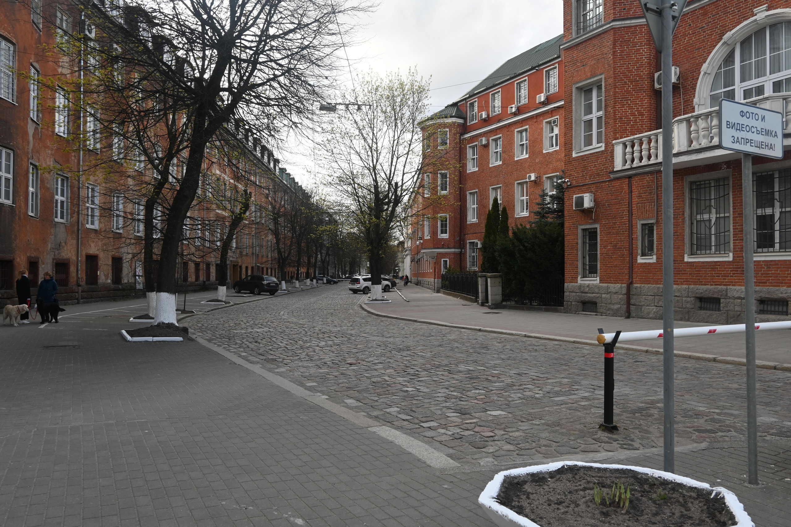 Репортажная фотосессия на природе. Семейный, детский, репортажный фотограф в Обнинске Соколова Ольга