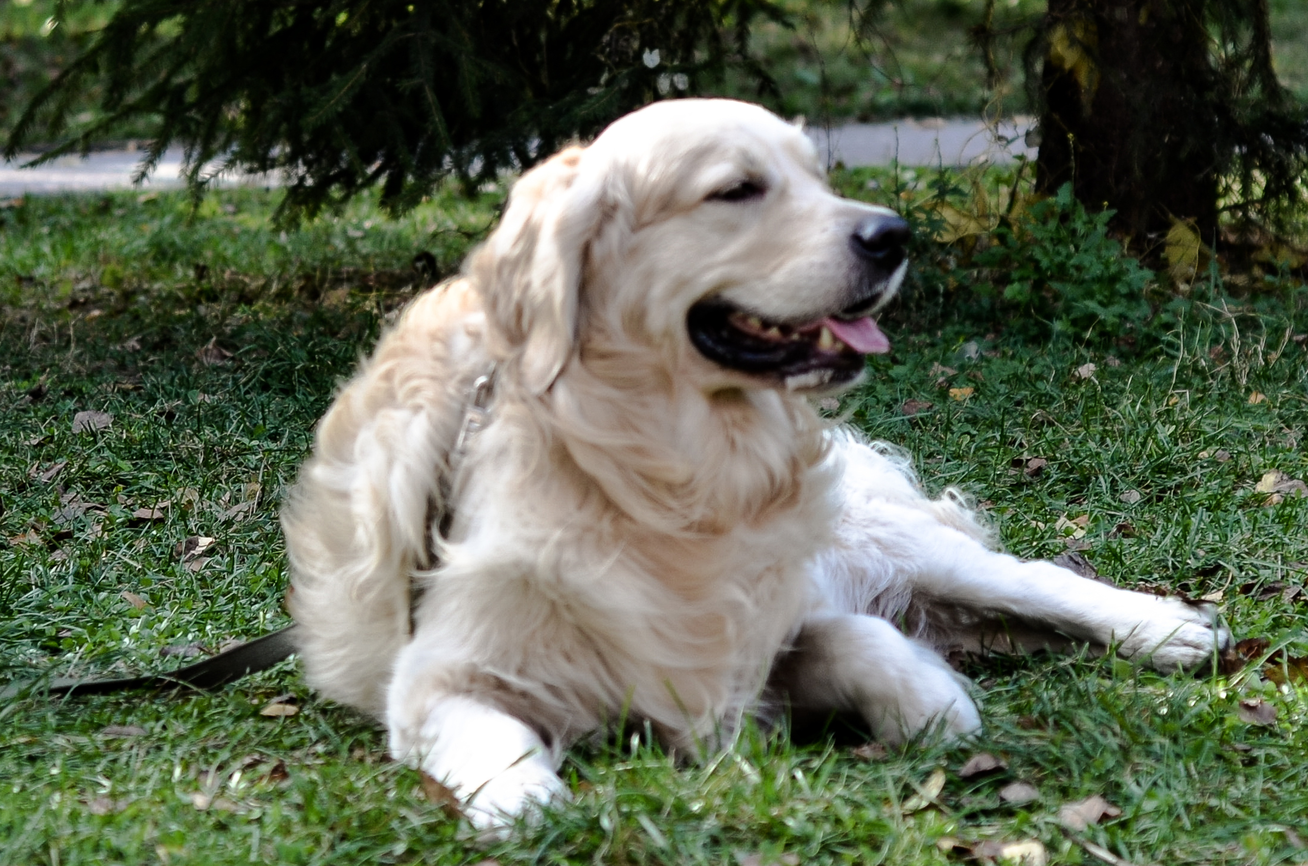 Событийные съёмки. Фотографы для фотосессий в Новосибирске