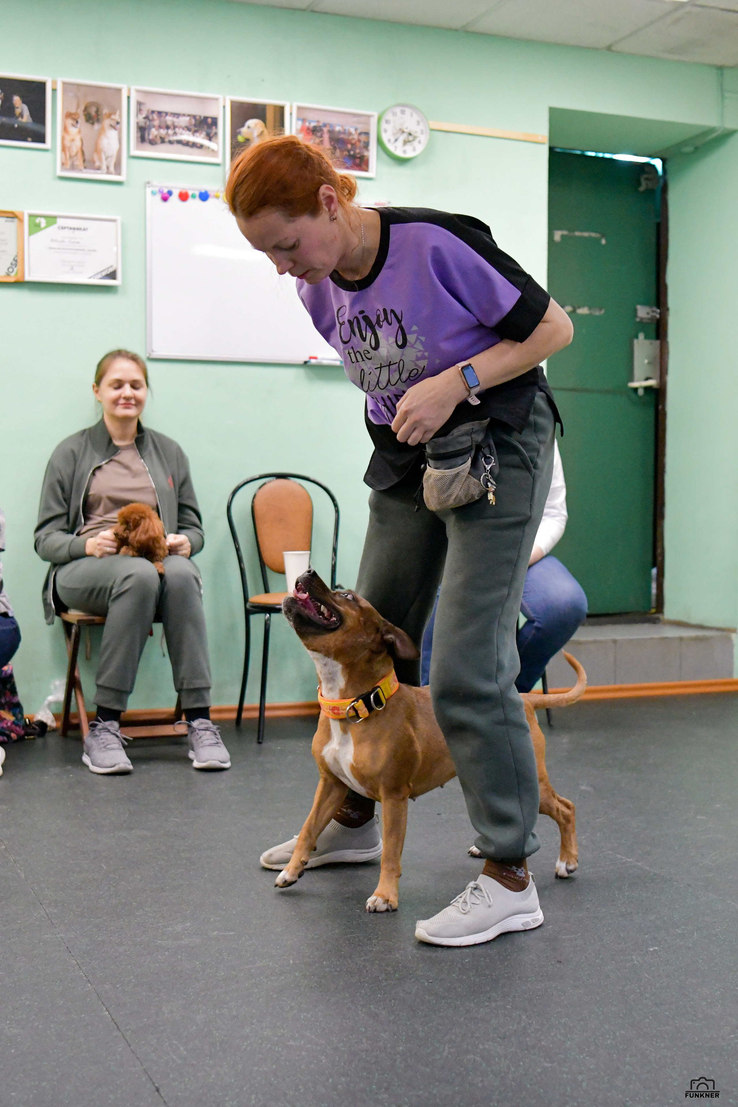Кинологический клуб «Бодрый хвост». Свой взгляд через объектив