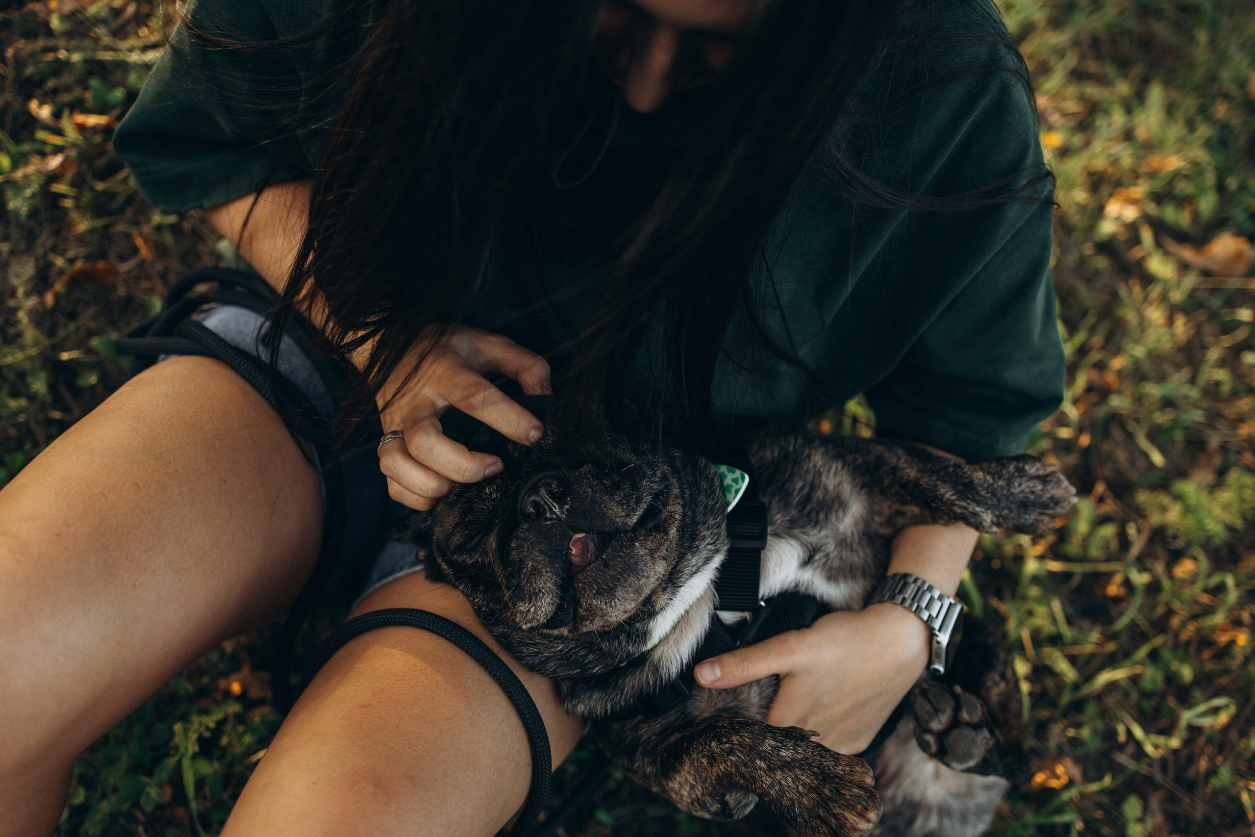 Олеся и Луи. Фотограф — Анималист | Санкт-Петербург