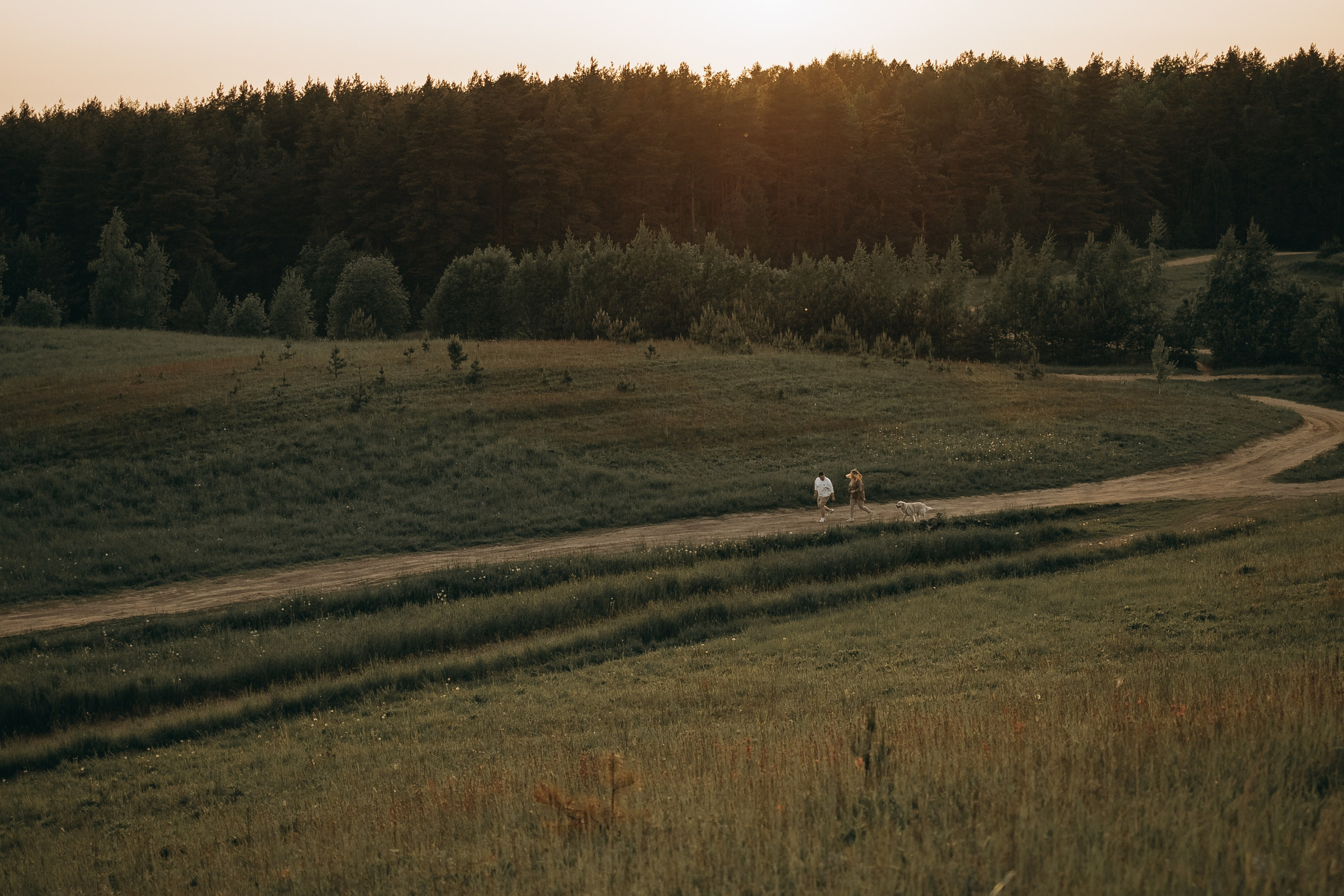 Милка и ребята. Фотограф — Анималист | Санкт-Петербург