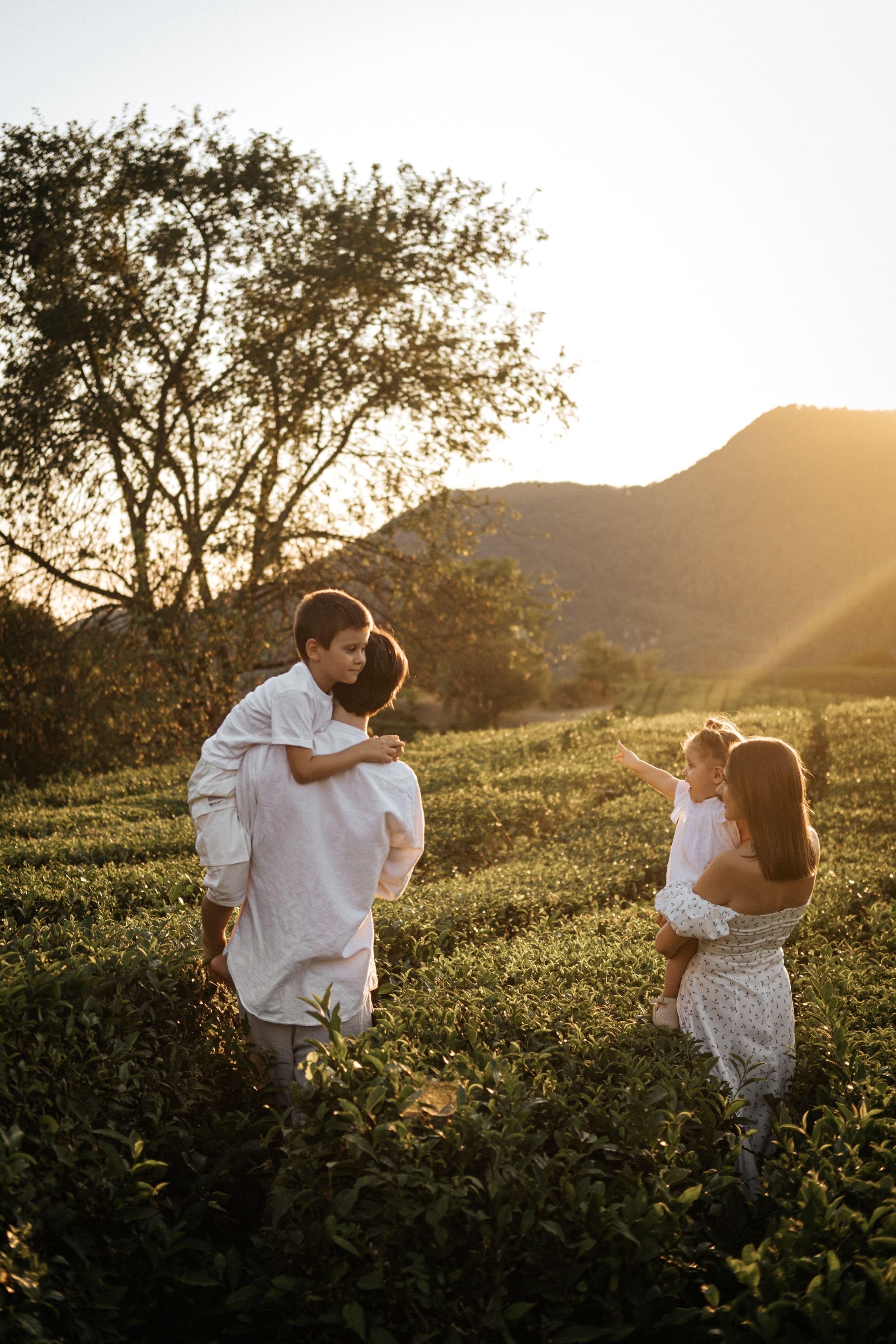 Плантации. Главная