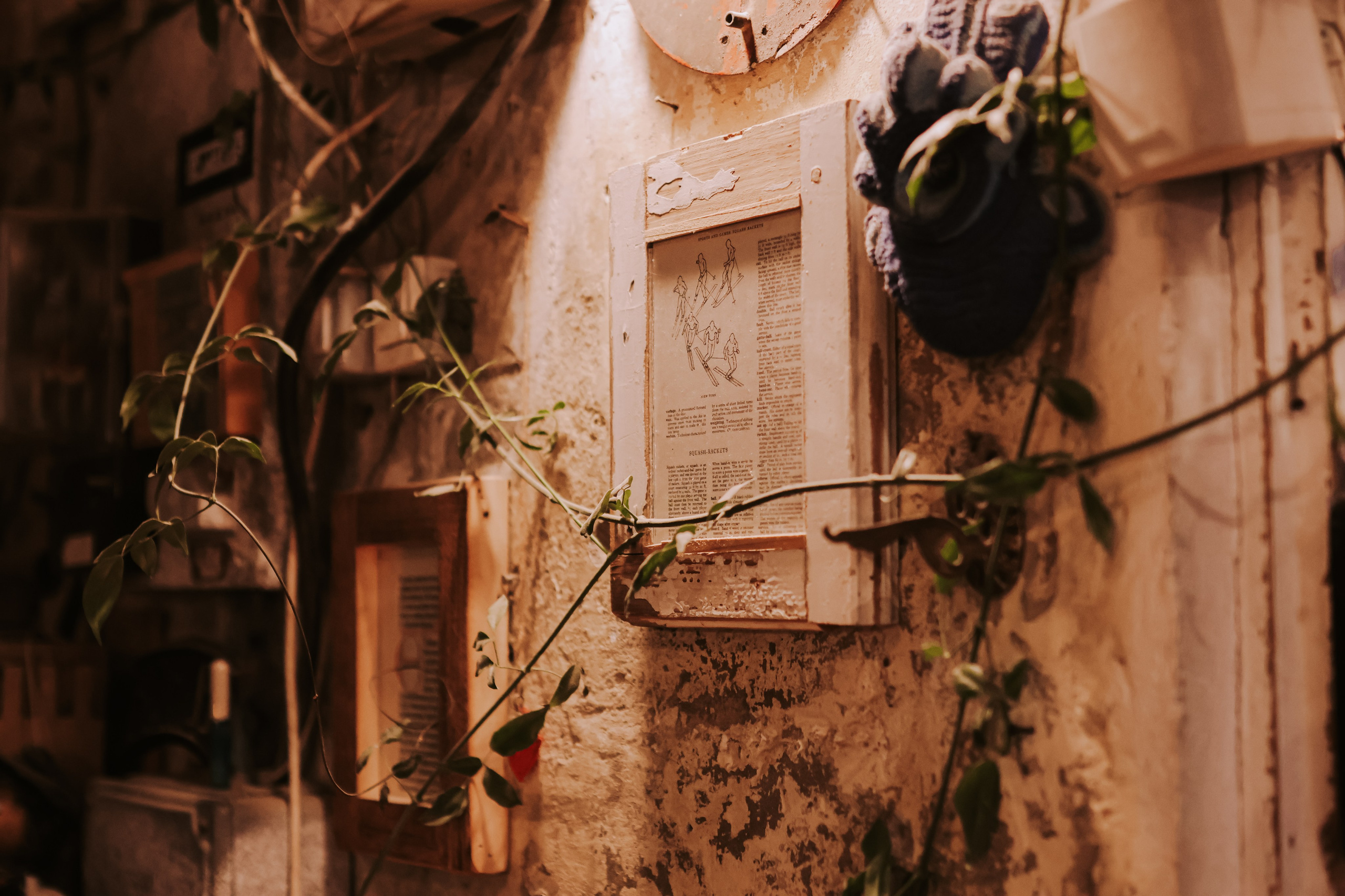 Hannukah event, Jaffa | December 2025. Photographer in Israel Alice Milchin