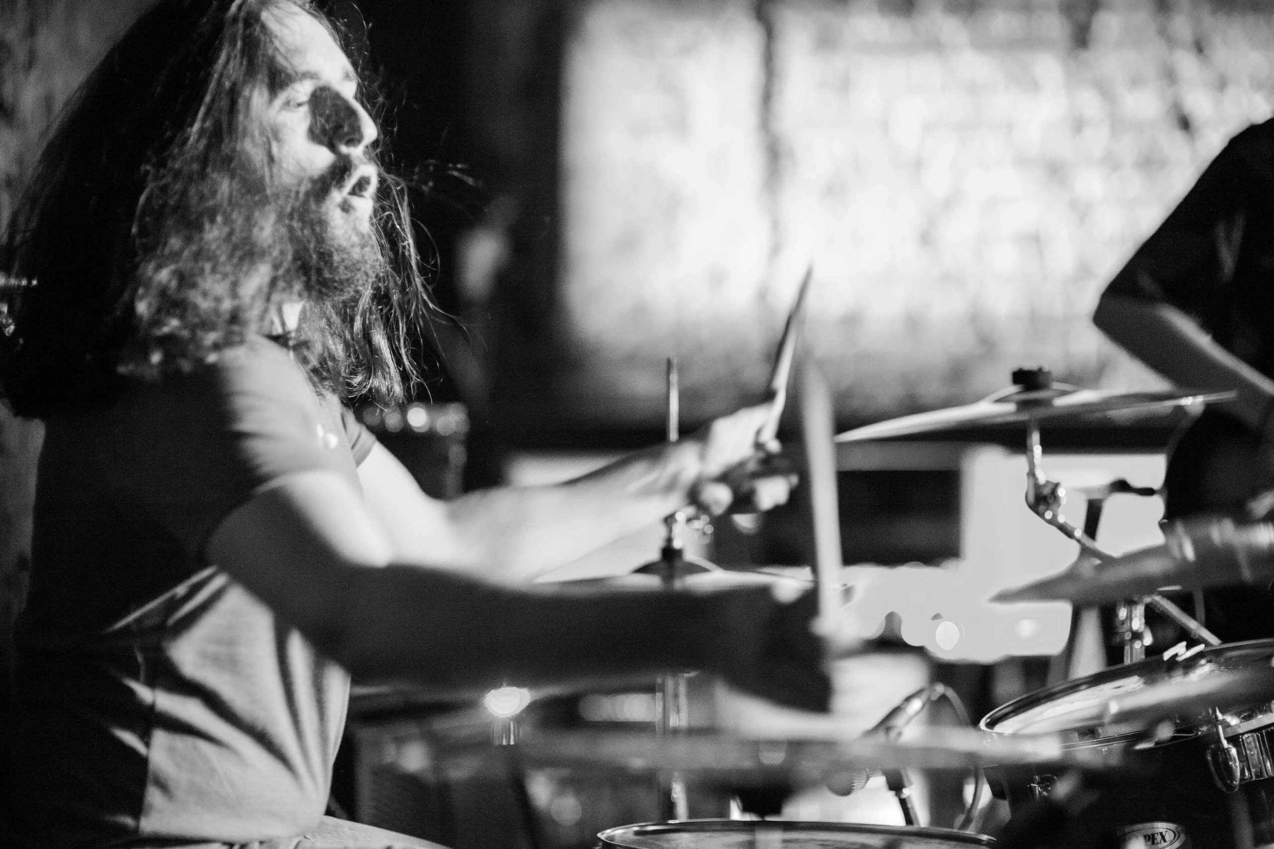 Hell Brothers. Твой фотограф — Полосатый кот