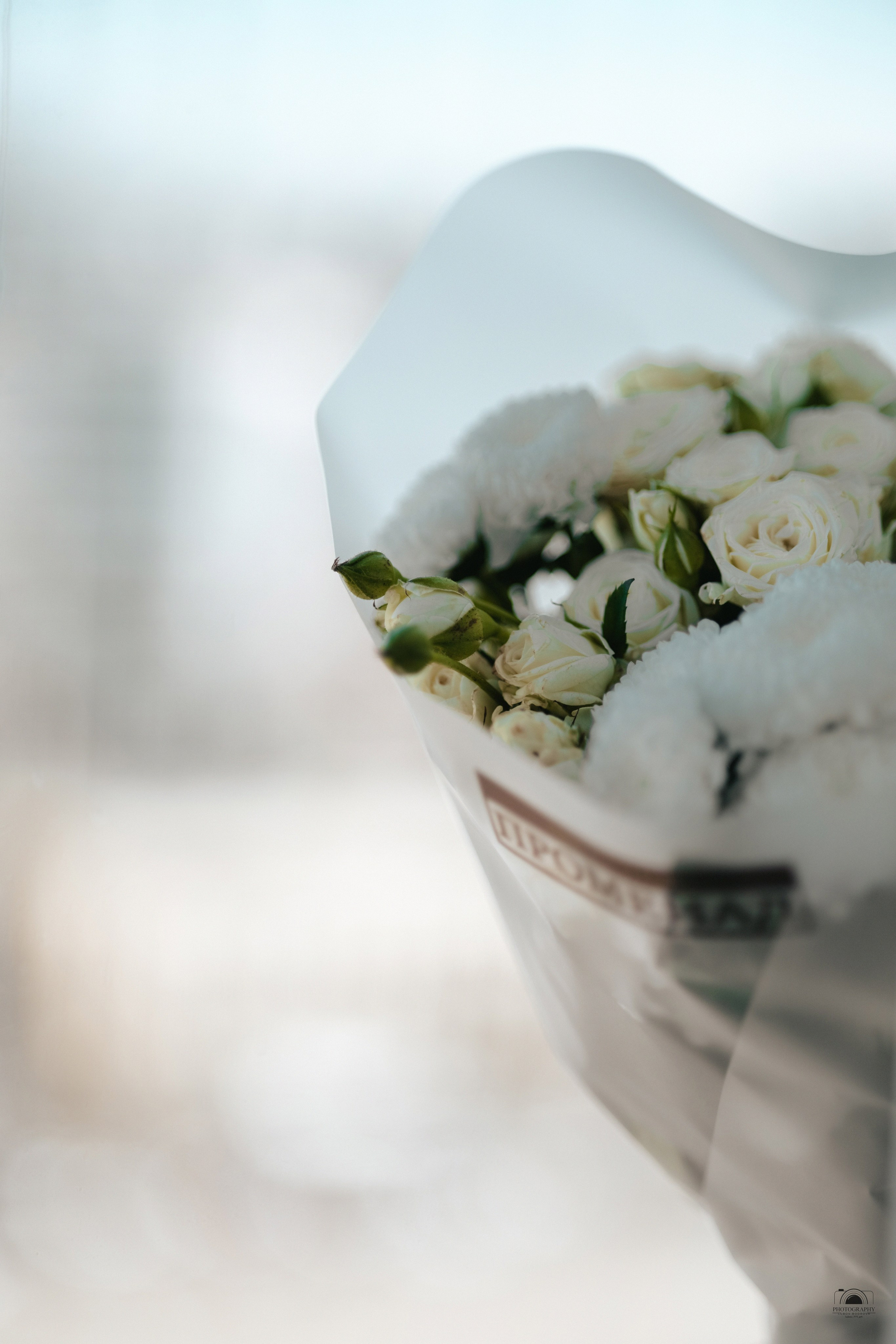 Курбан и Ксения. Семейный и портретный фотограф в Геленджике Любовь Бодрова