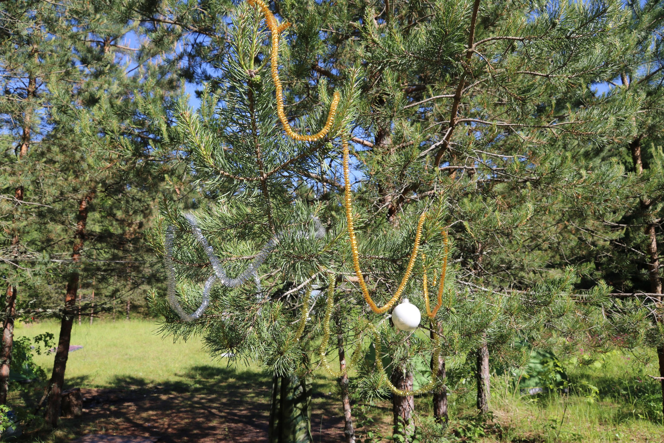 Походная романтика 22! Новый год и не тра-та-та-та… | 23-25.06.2017. Галерея Фантим