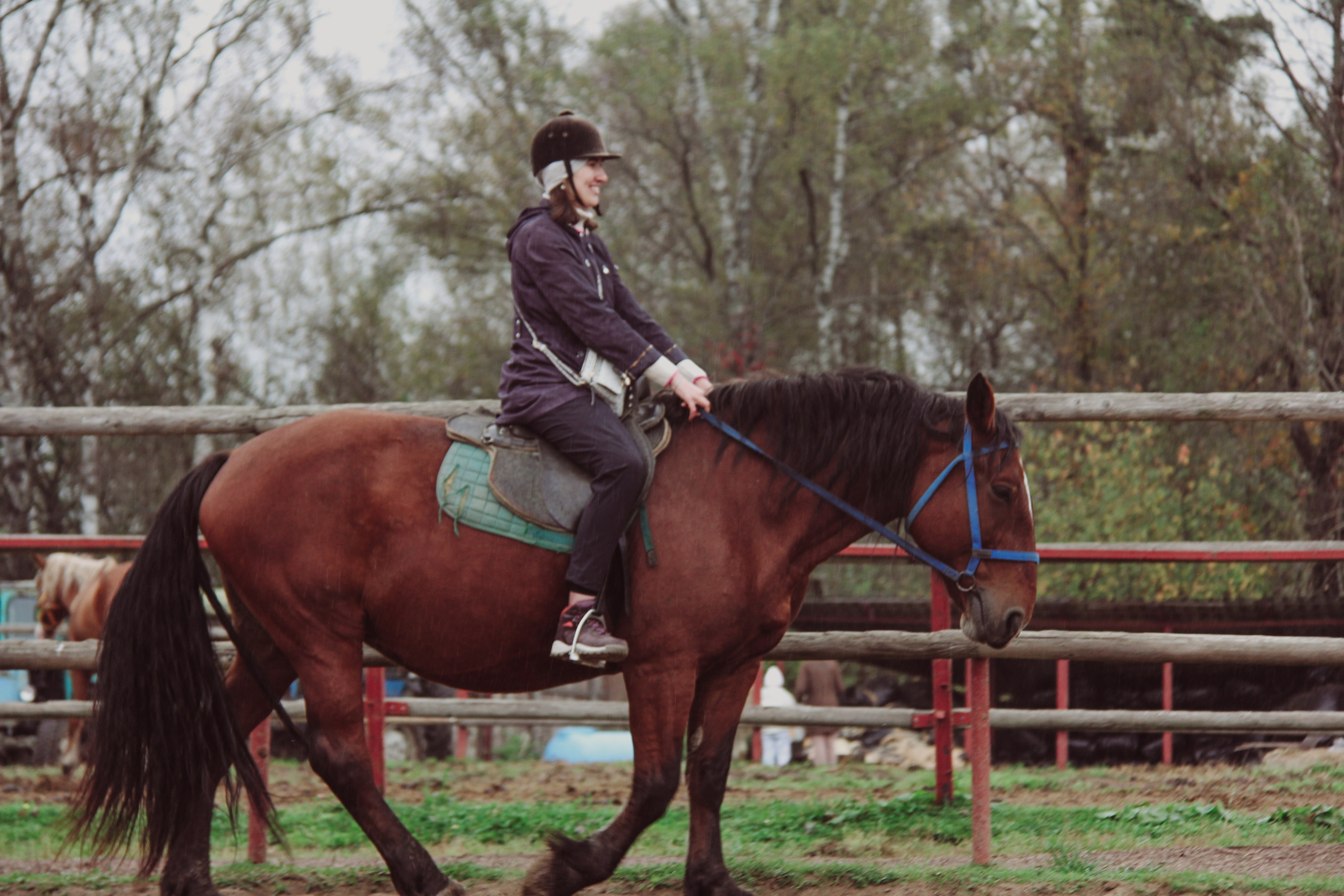 Лошадинг | 27.09.2025. Галерея Фантим