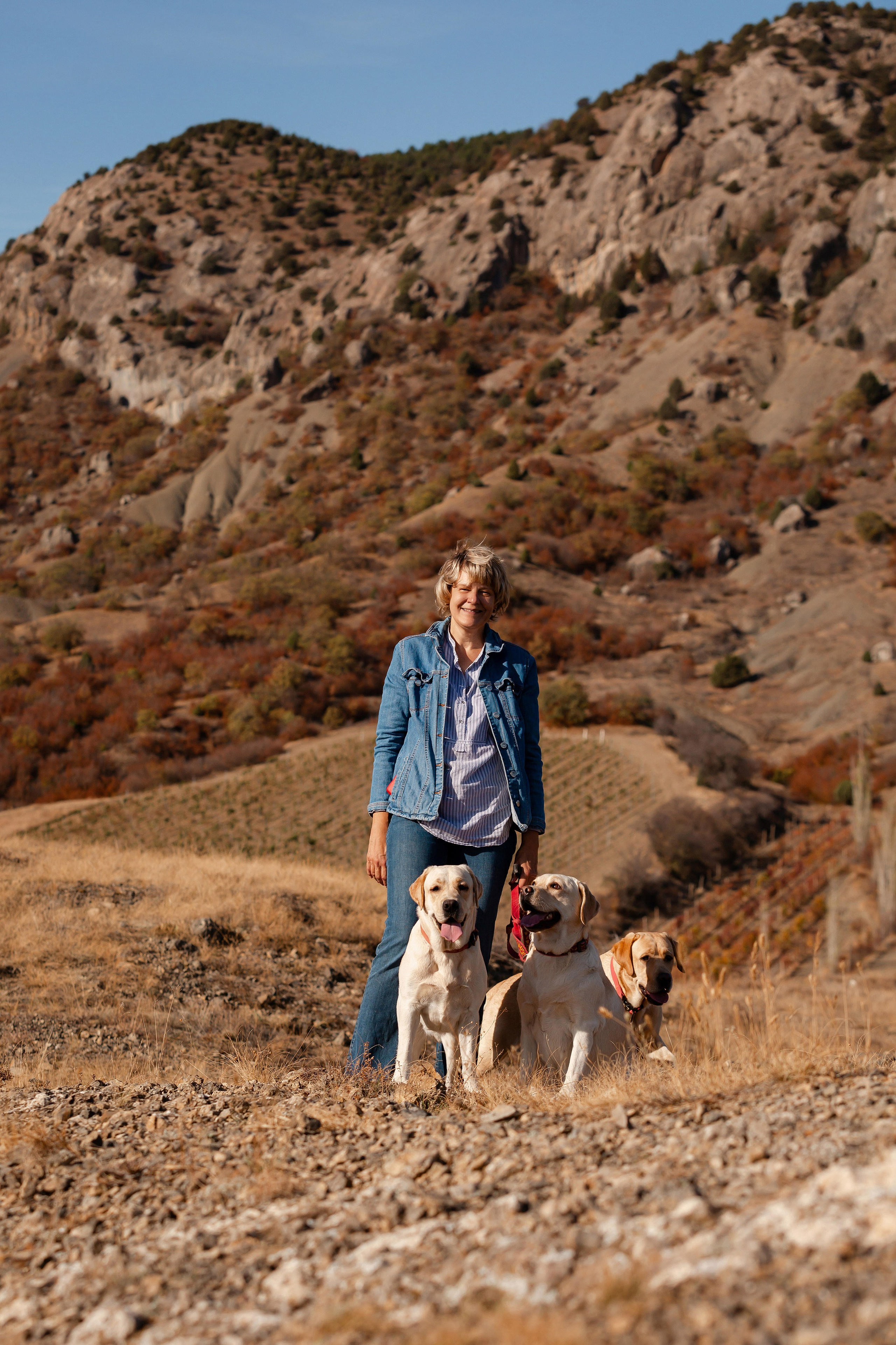 Лабрадоры и горы. Фотограф-анималист в Краснодаре Маша Мельникова
