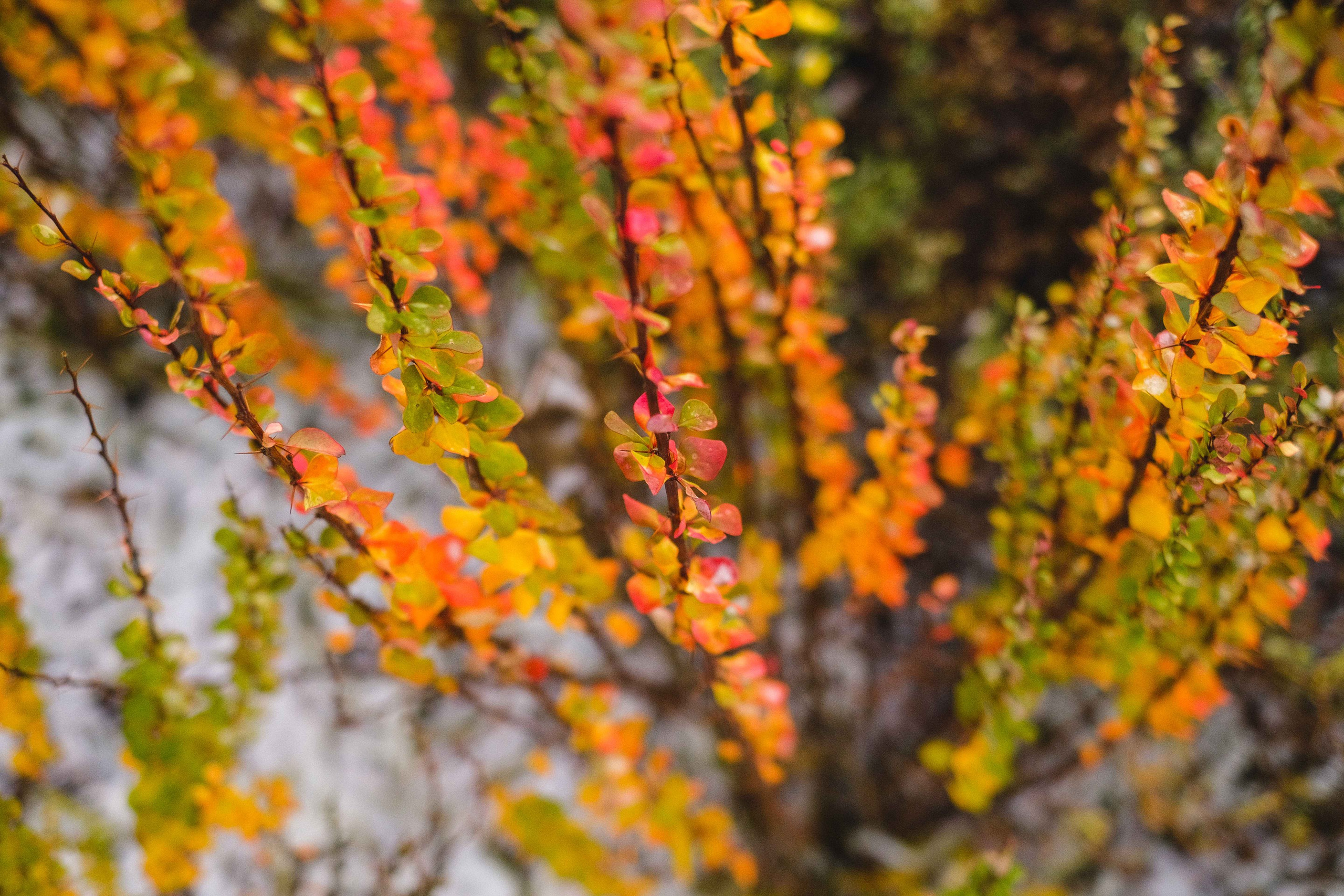 2022.11. Фотограф Алексей Алексеев