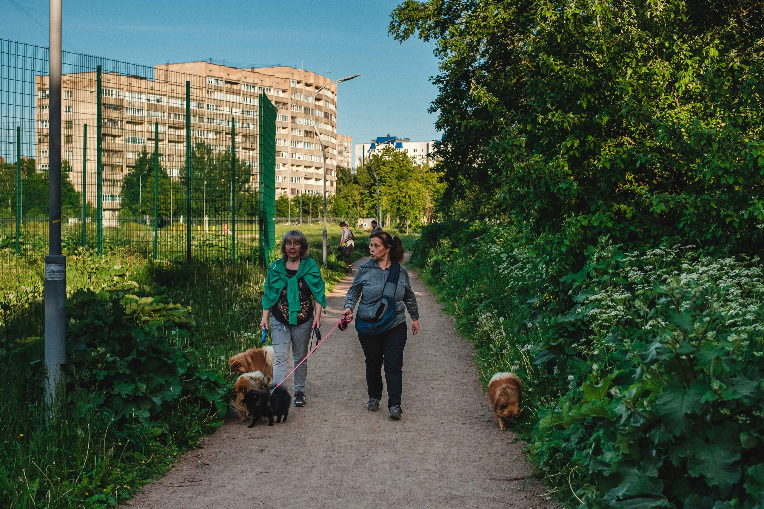 2022.06. Фотограф Алексей Алексеев