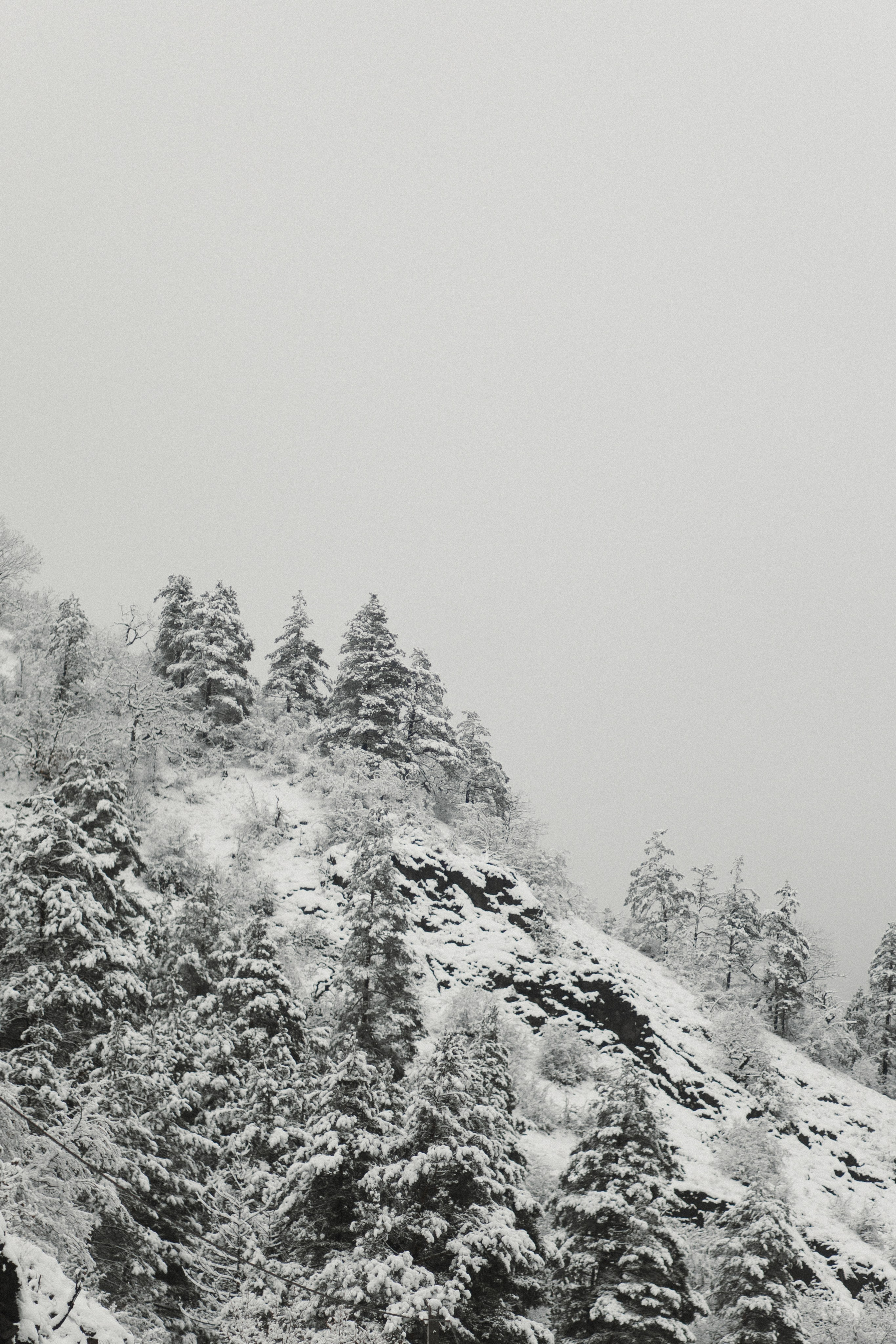 Winter in Bakuriani. Anastasia Blud Photography