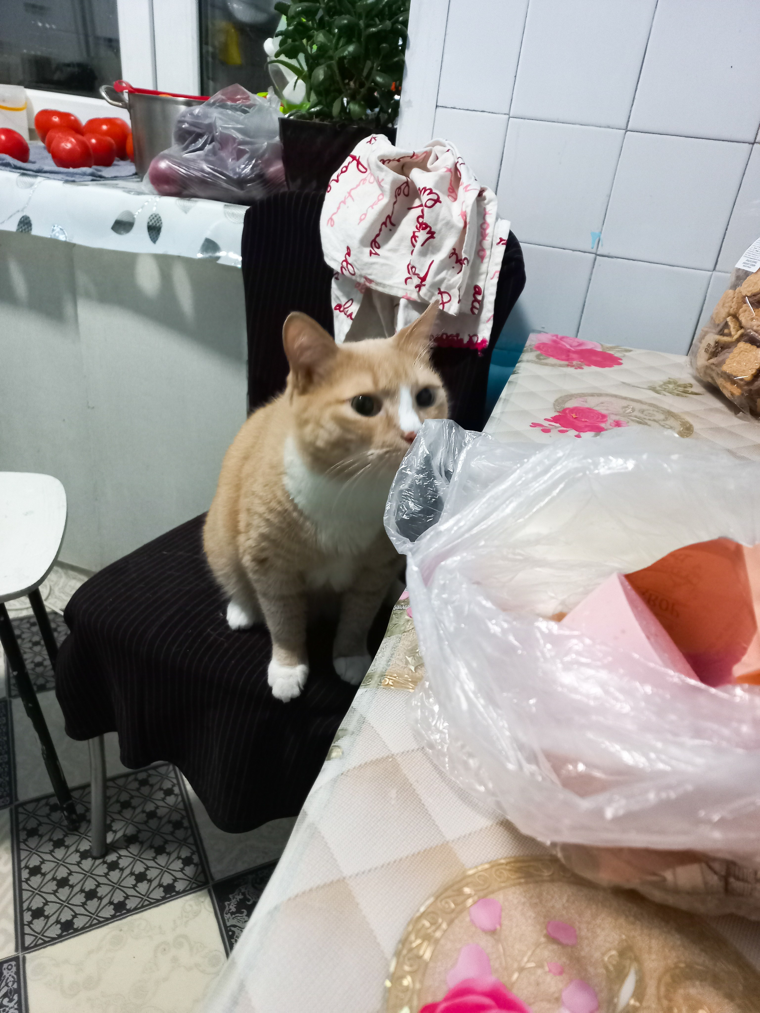 Следующая остановка — жизнь. КРАСНОЯРСКАЯ ШКОЛА КИНО