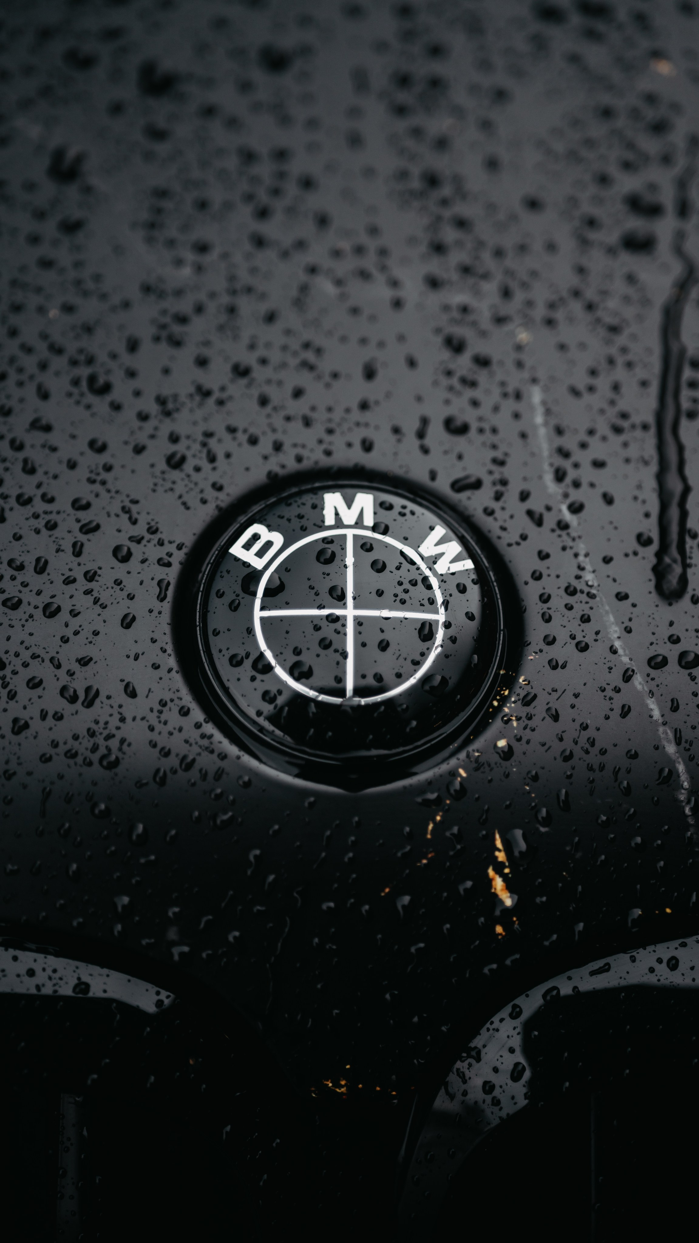 BMW X5. Фотограф в Санкт-Петербурге Мария Александрова