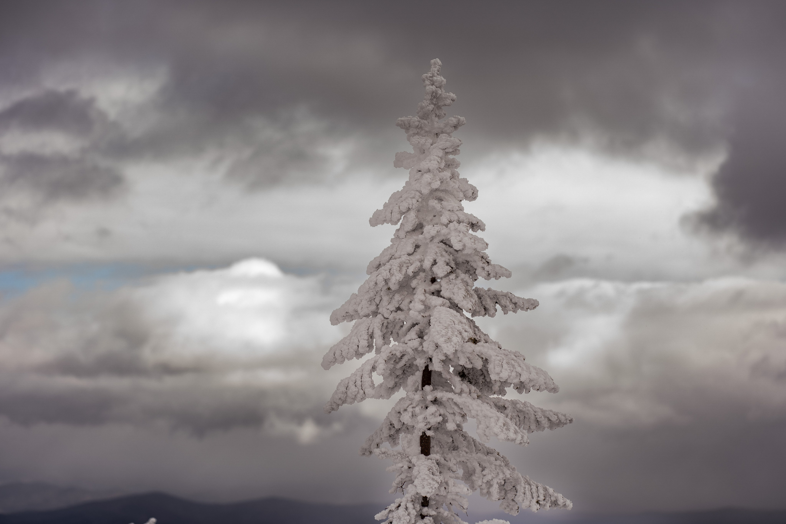 Фрирайд. Анастасия Паршукова — фотограф Шерегеш Новосибирск