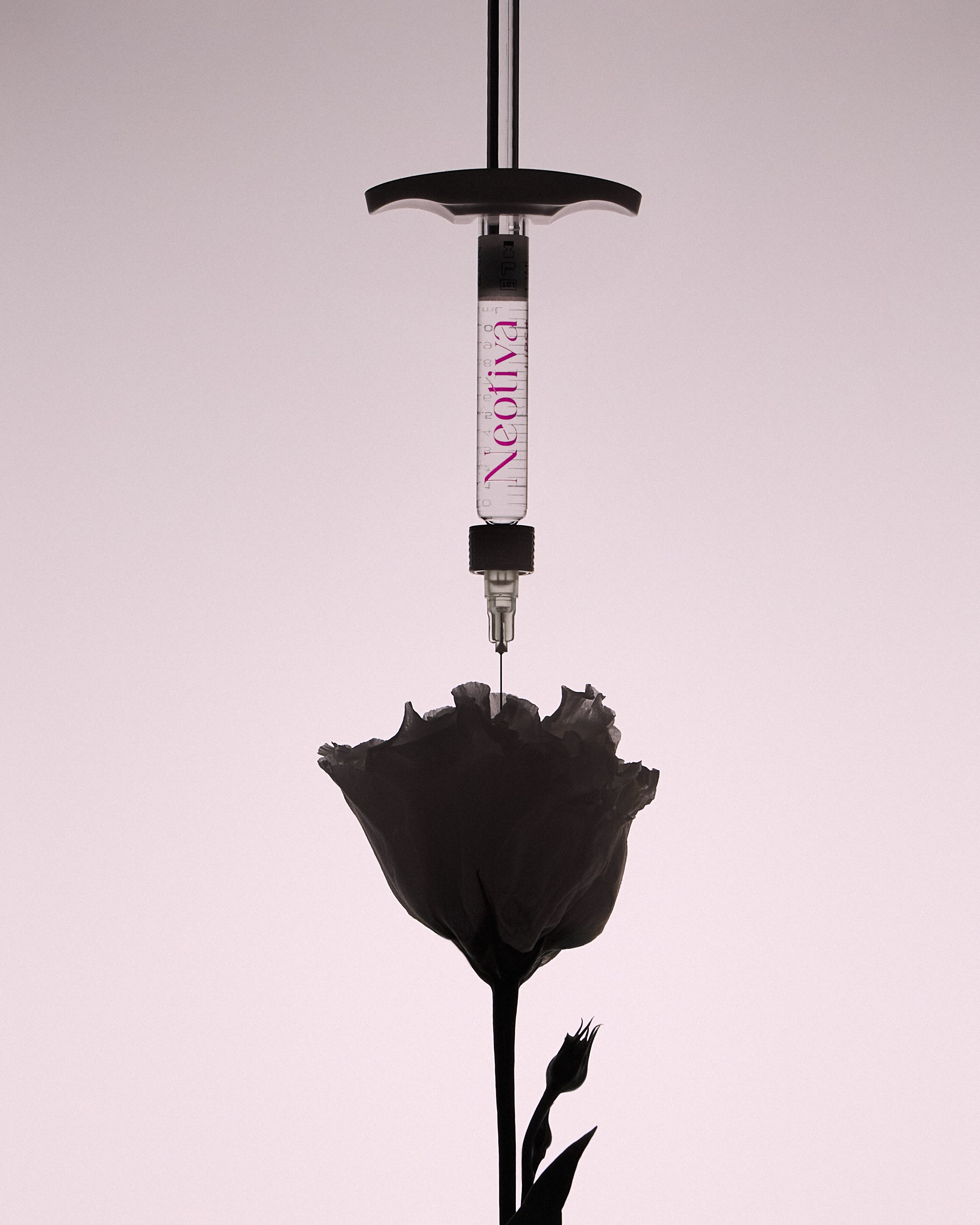 INVENIO. Креативный продюсер / сет—дизайнер